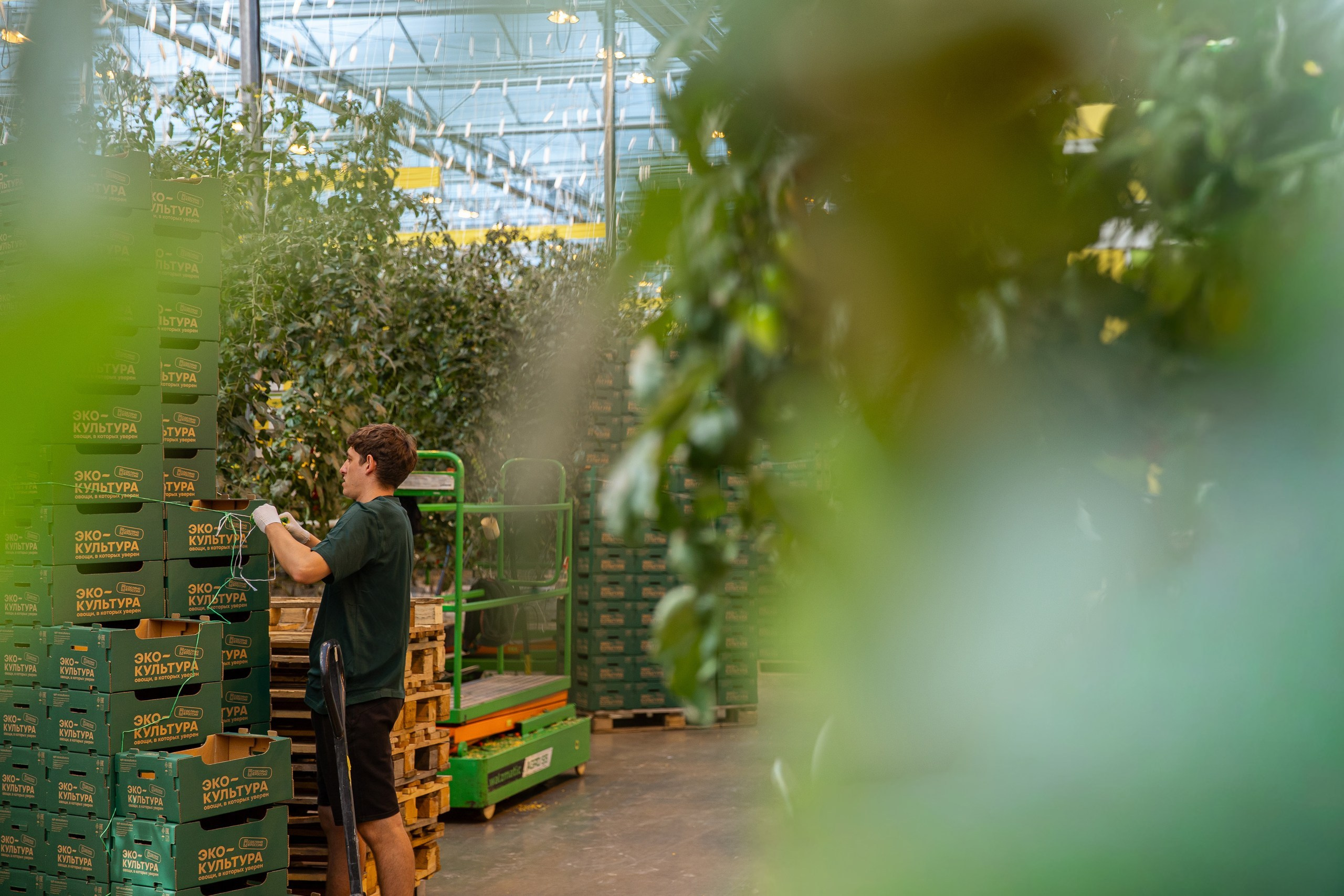 Производство. Фотограф Николай Петрушкин | Ставрополь, Москва