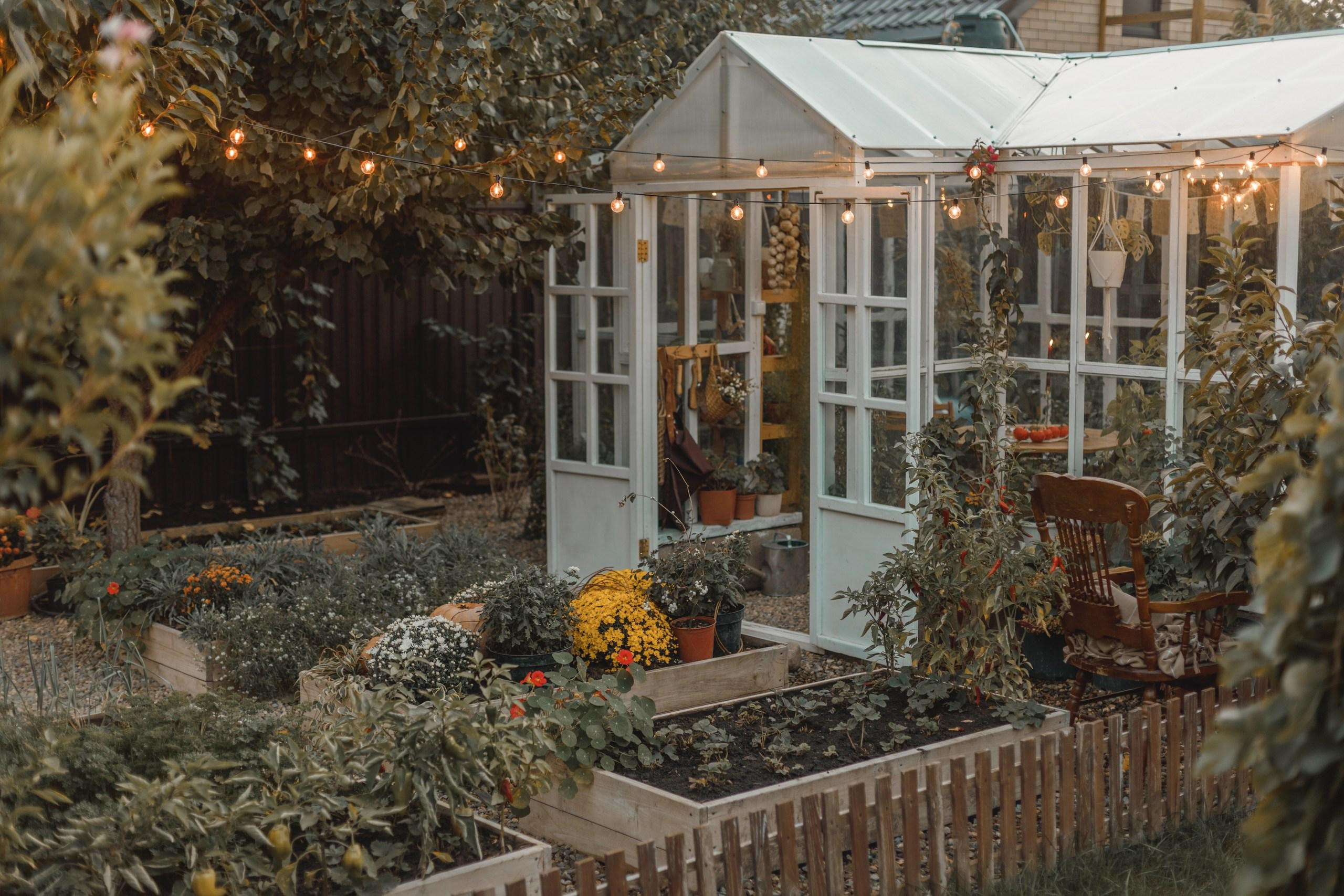 Осенние декорации фотостудии «ТЕПЛИЦА», город Краснодар. Семейный и детский фотограф в Краснодаре Анна Трашкова