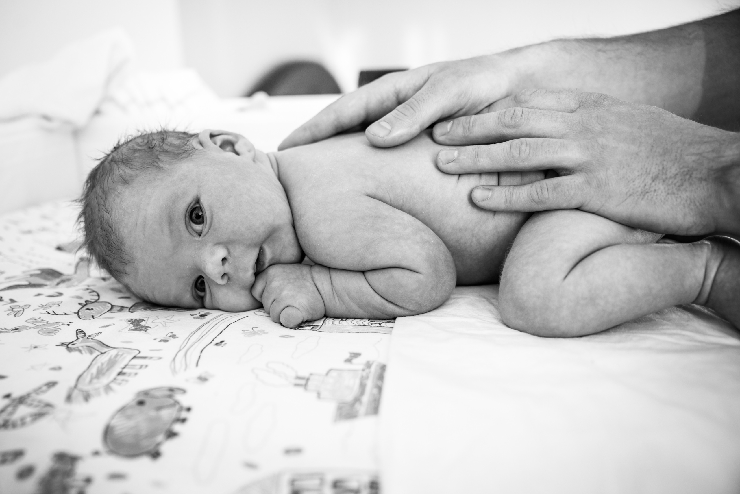 Семейные фото. Ваш фотограф в Дрездене