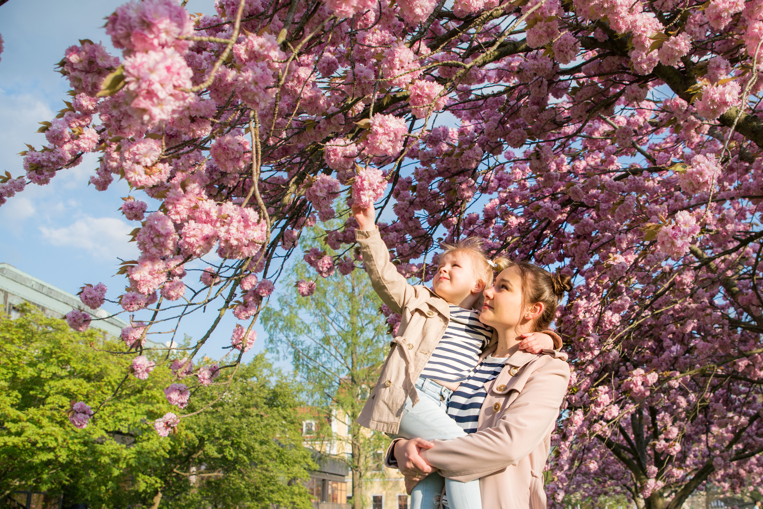 Семейные фото. Ваш фотограф в Дрездене