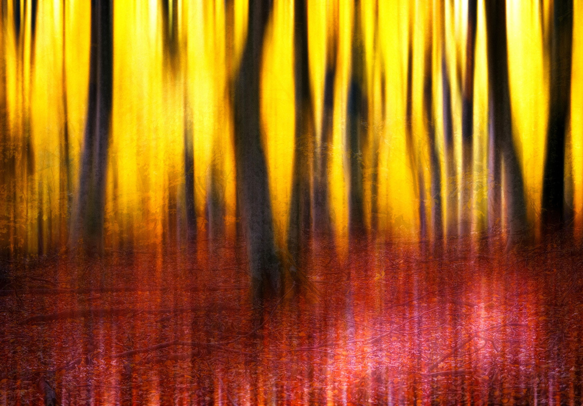 Фотограф в Геленджике Владимир Сковородников