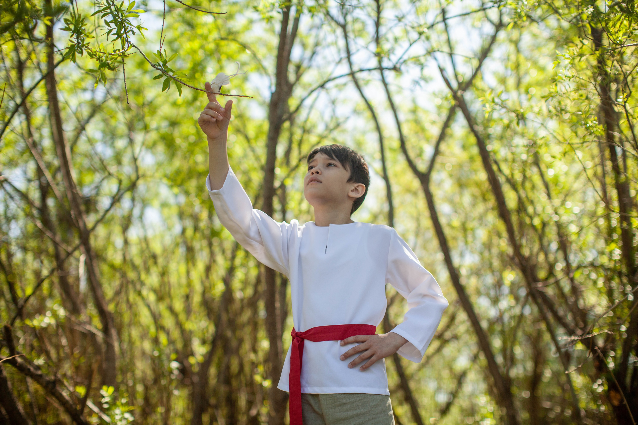 Летний день. Art my Pho