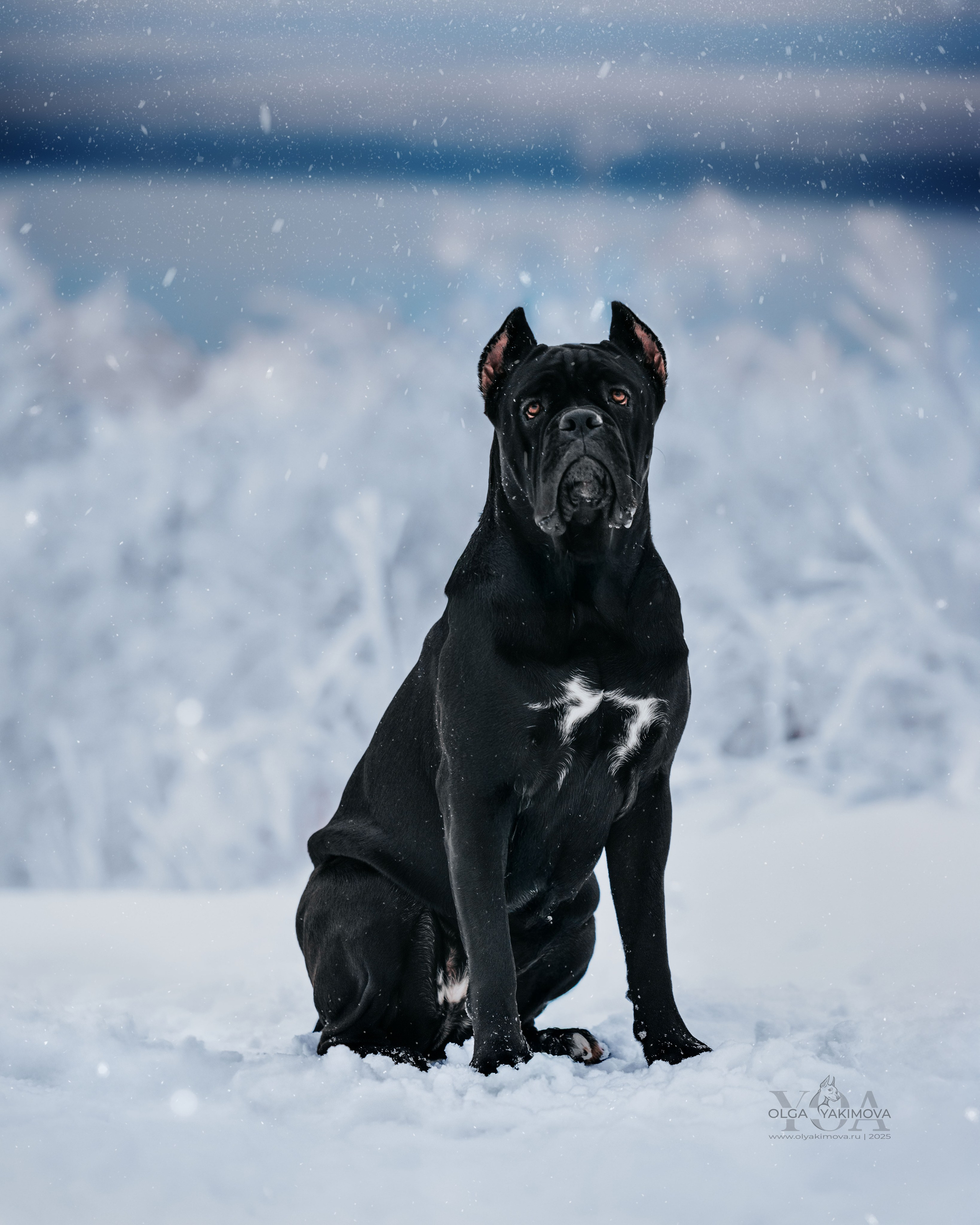 МАРИНА И САРА. Фотограф