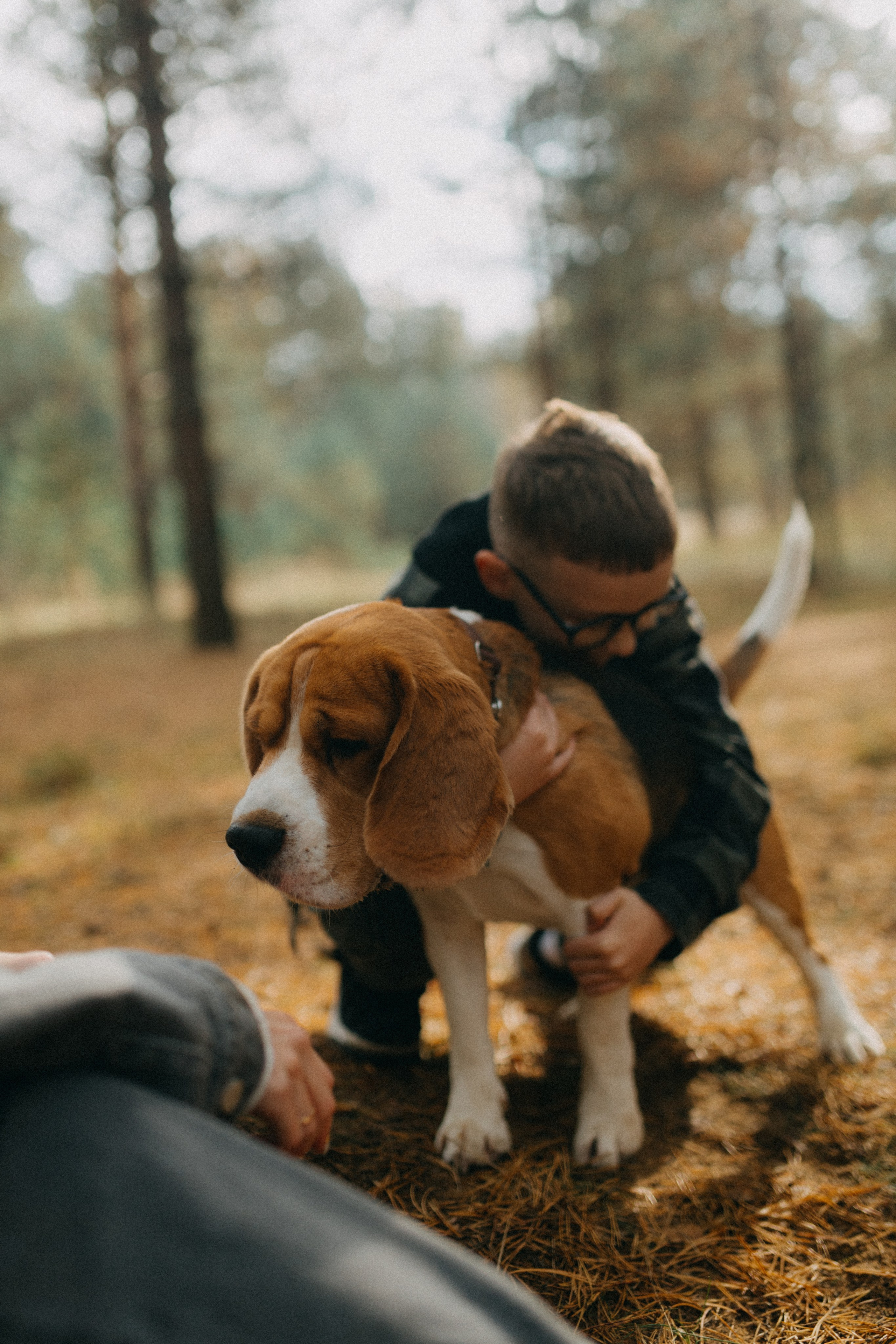 Ксюша & Федя. Прогулка с Лайдом. Фотограф НОГИНСК, Москва, Анастасия Белая
