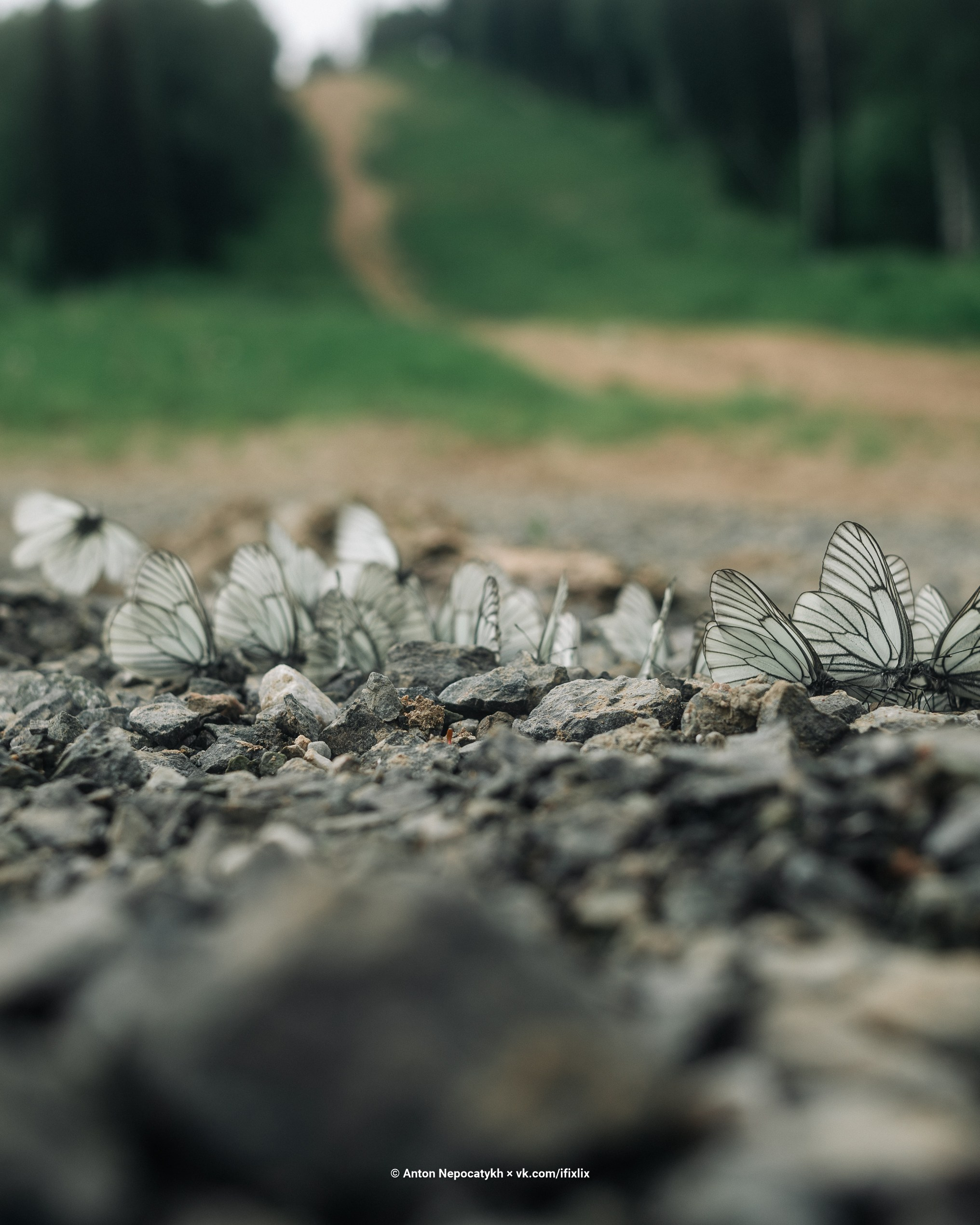 Фотографии Шерегеш. Антон Непочатых — Большой мужской фотограф