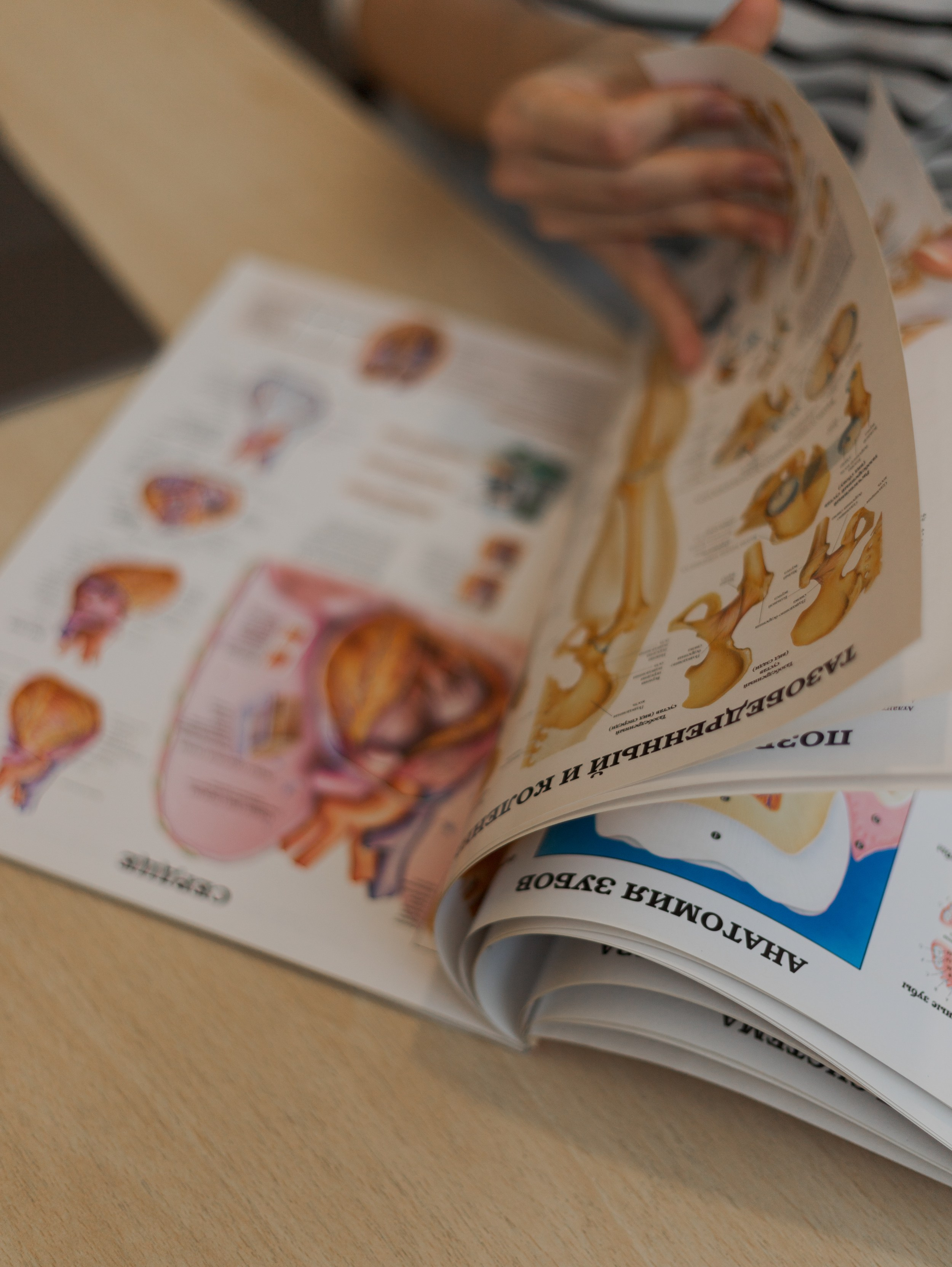 ДИЕТОЛОГ | Анастасия Чикуенок