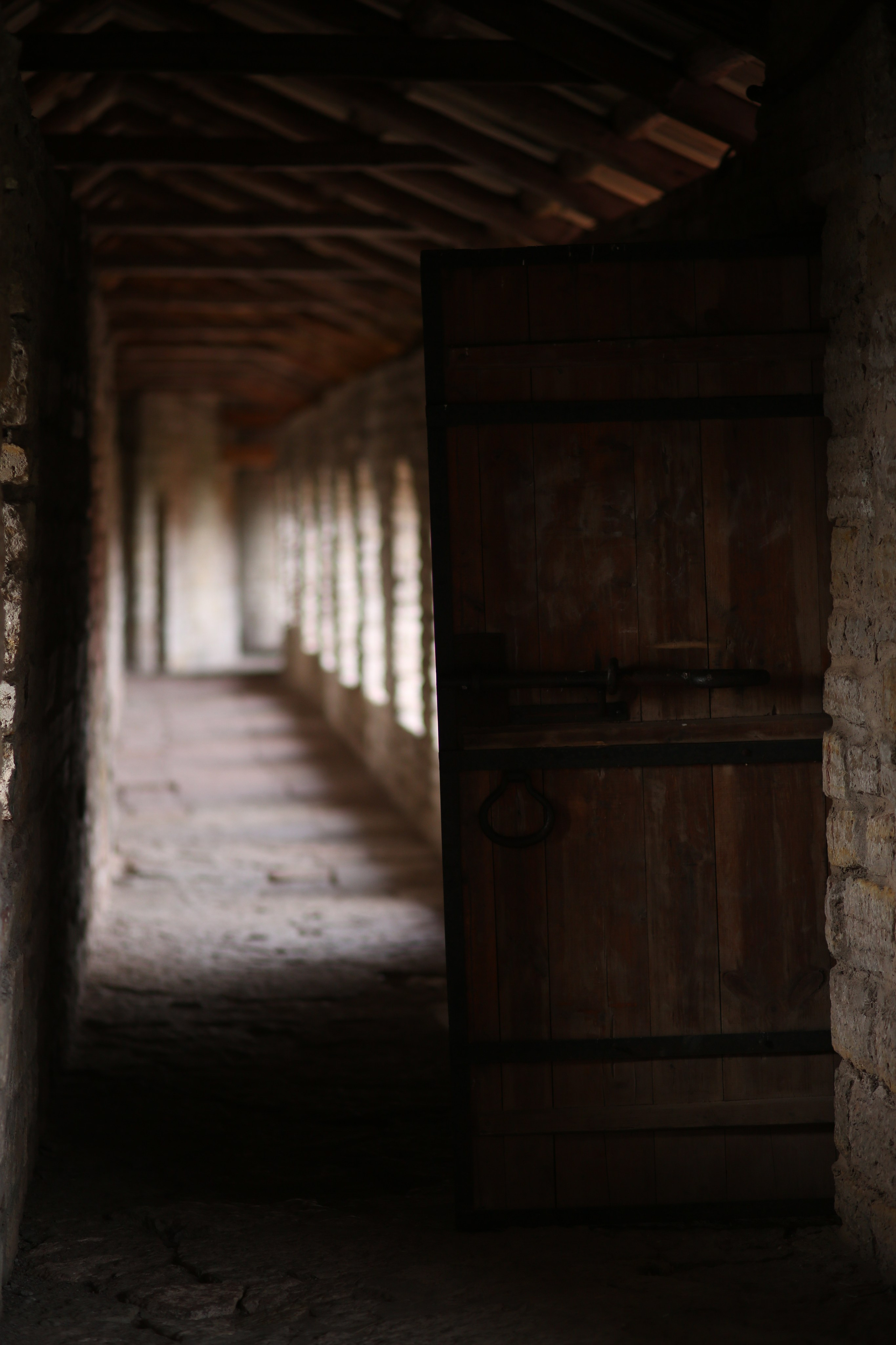 Санкт — Петербург. Фотограф в г. Сургуте Марина Киприна