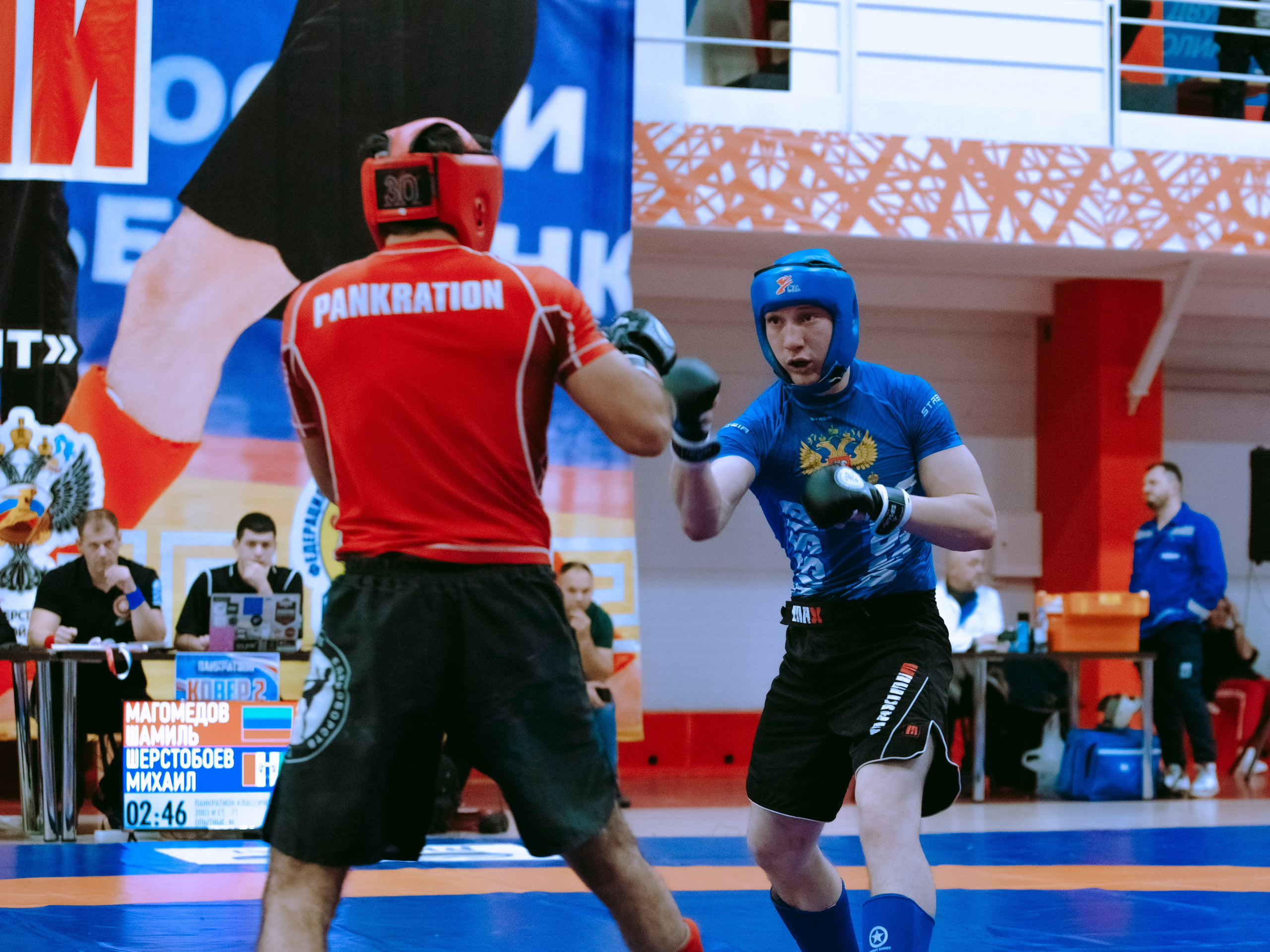 Кубок России по спортивной борьбе панкратион `23. Портретный фотограф в Москве Дарья Цезария