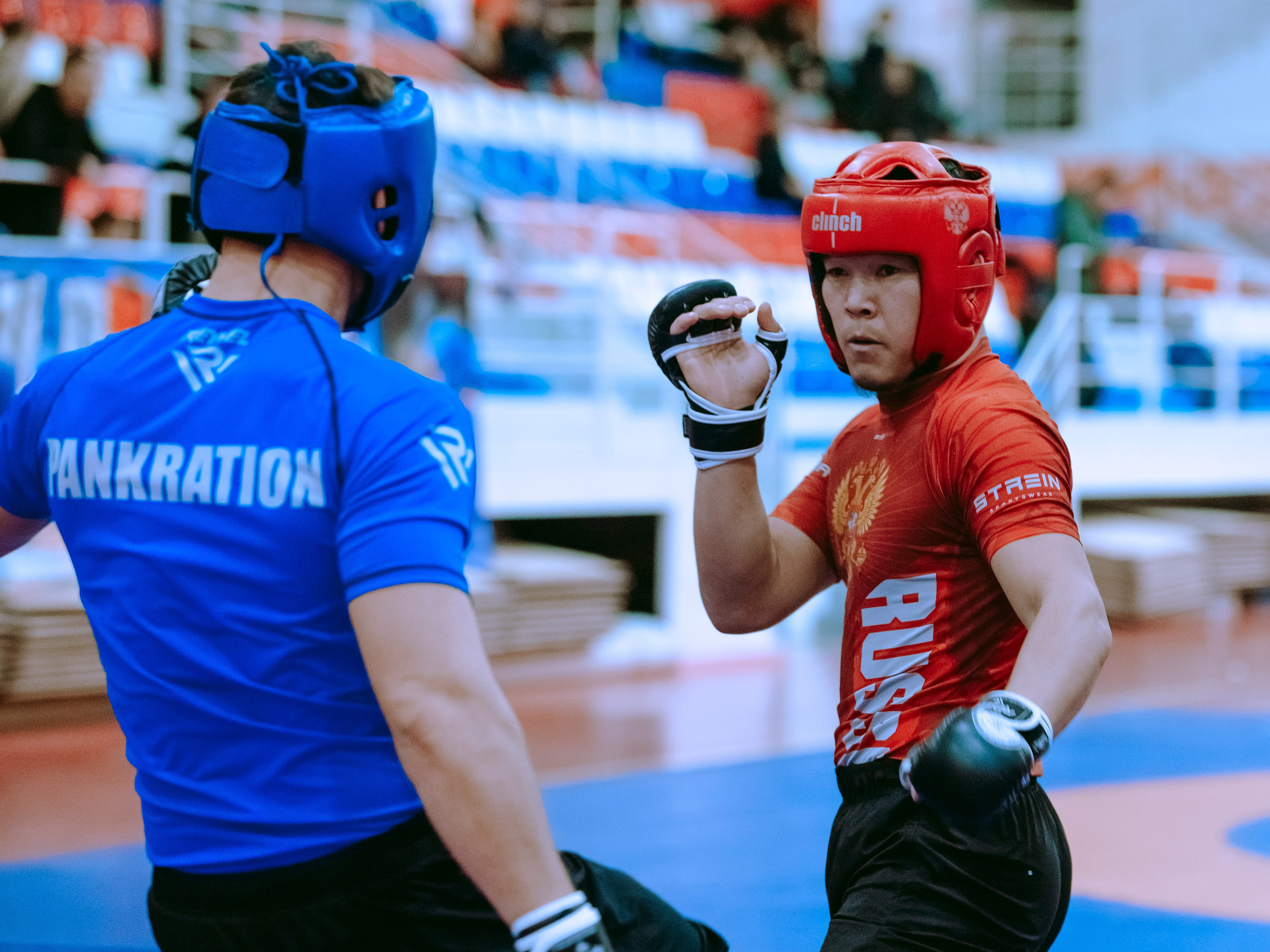 Кубок России по спортивной борьбе панкратион `23. Портретный фотограф в Москве Дарья Цезария