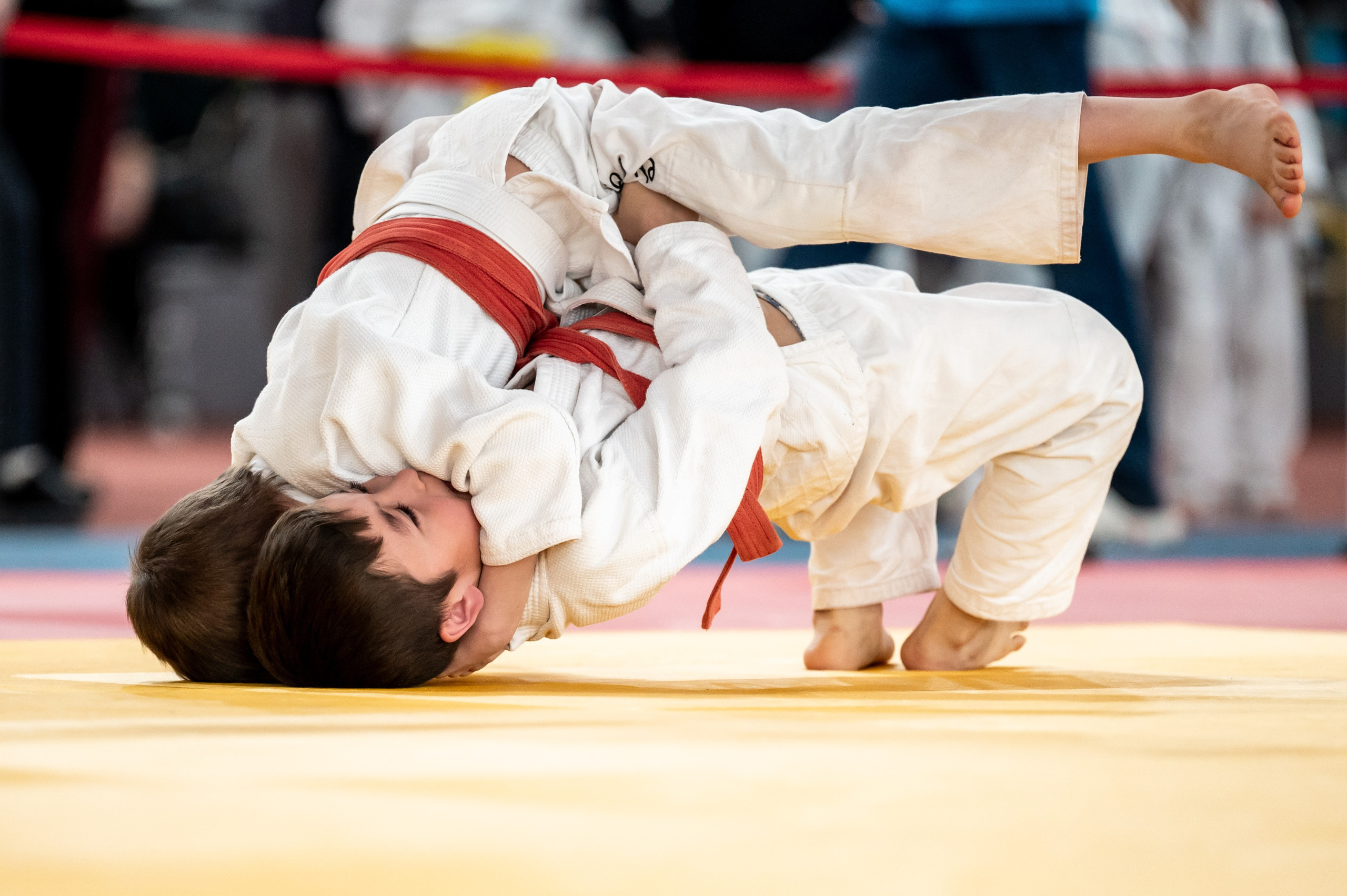 Турнир по дзюдо СК «Тульский Левша» март 2025. Спортивный фотограф в Туле и Тульской области. Файсханова Фото Спорт