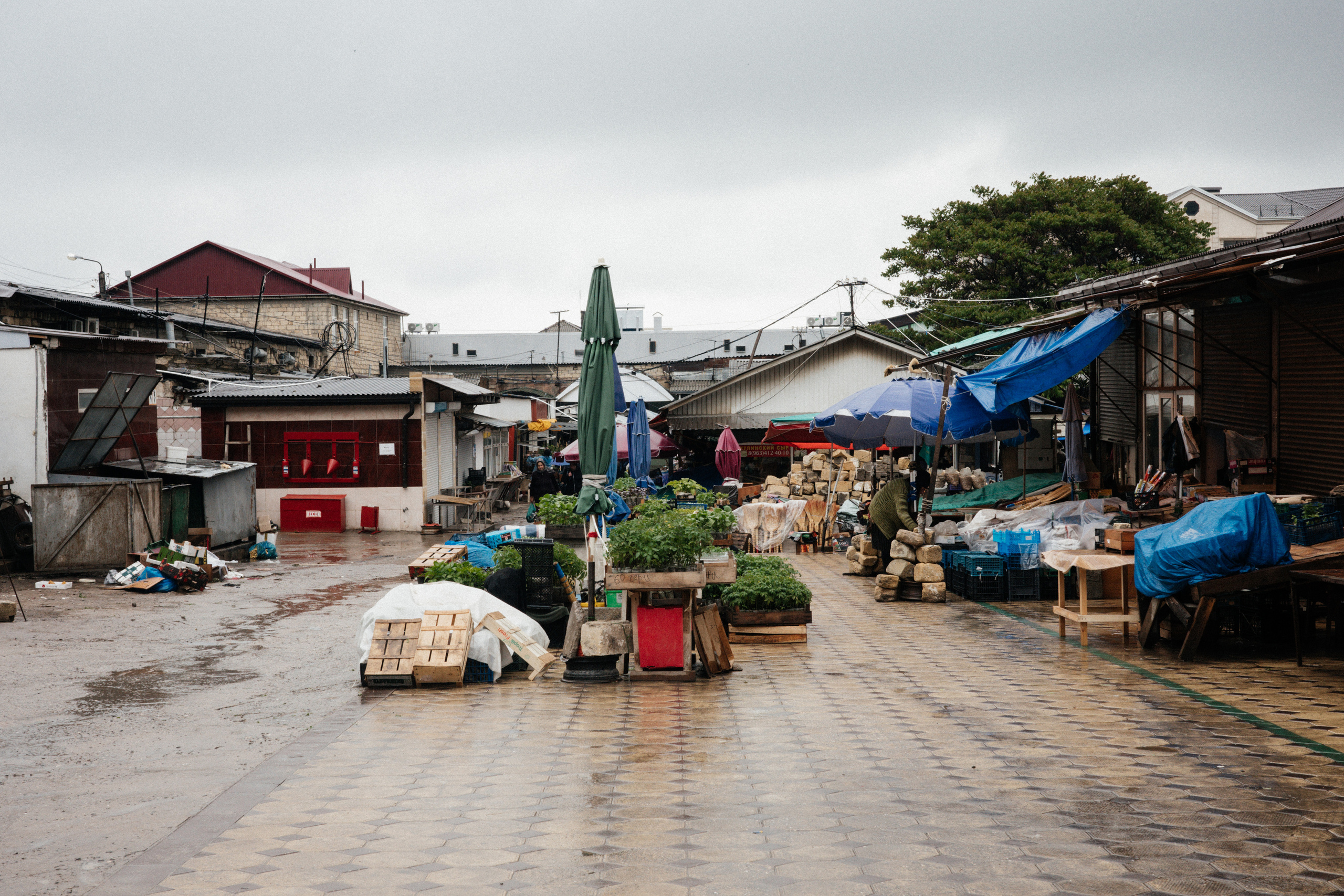 Дагестан. Свадебный фотограф Москва Александра Аверкова