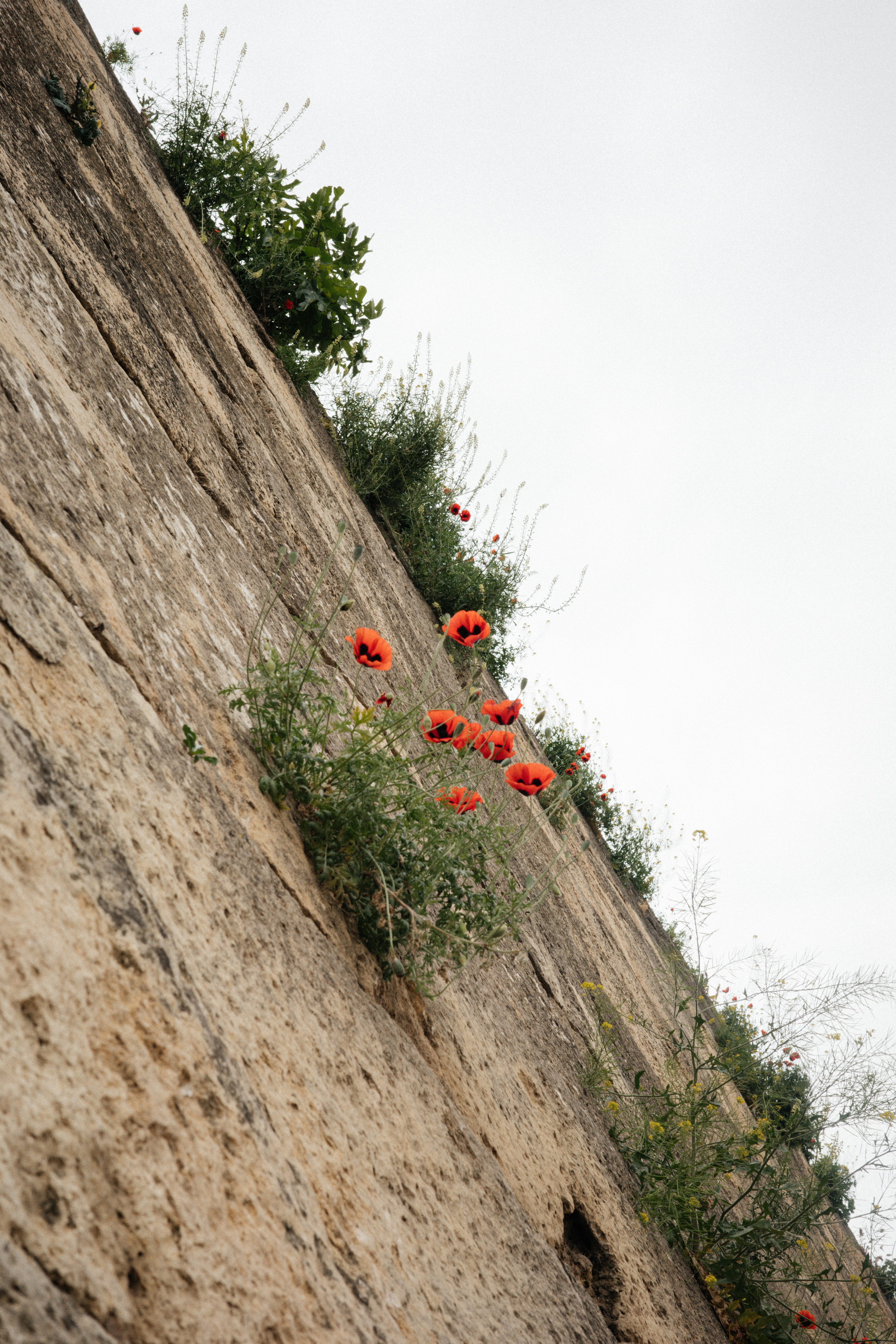 Дагестан. Свадебный фотограф Москва Александра Аверкова