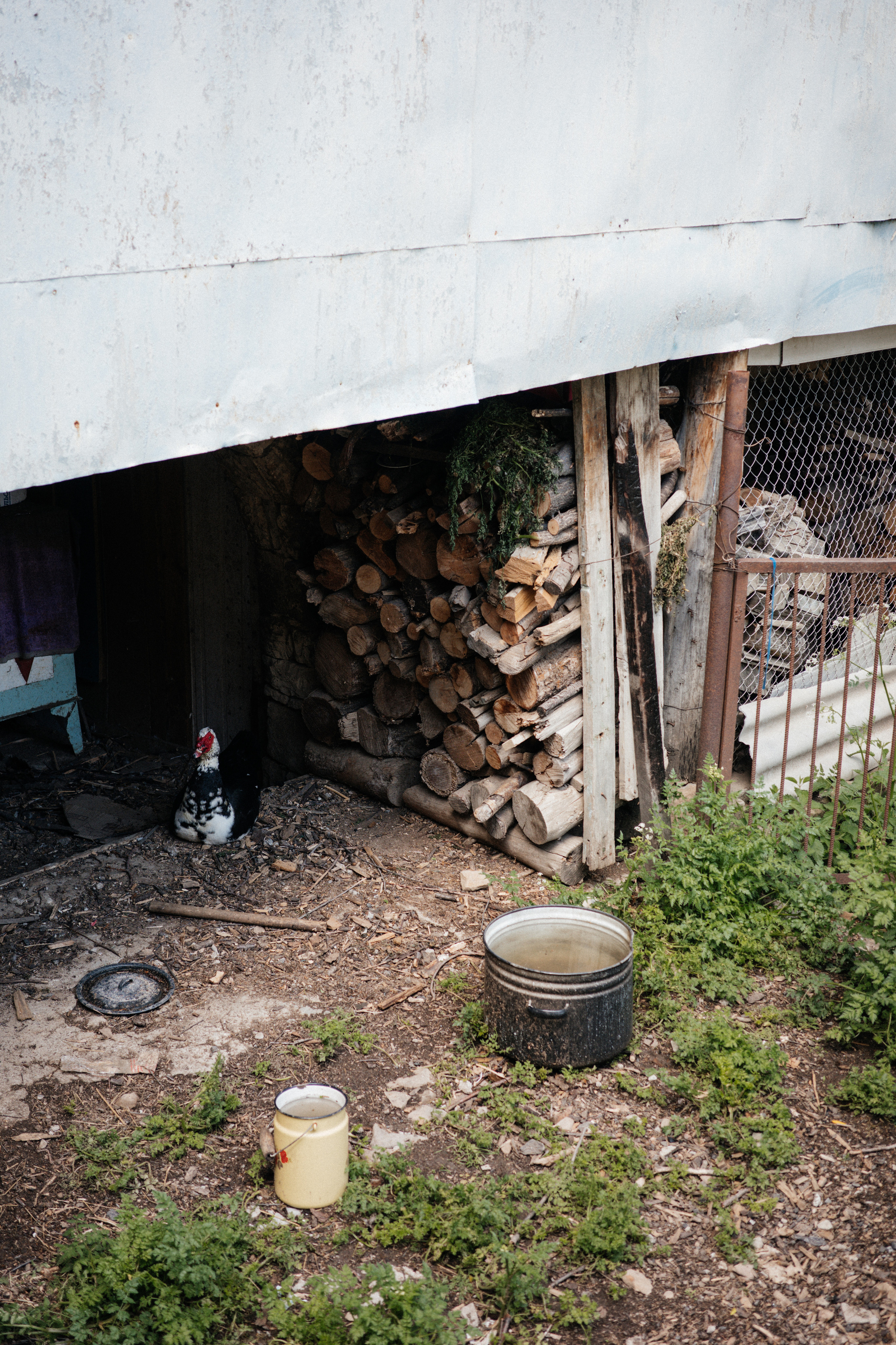 Дагестан. Свадебный фотограф Москва Александра Аверкова