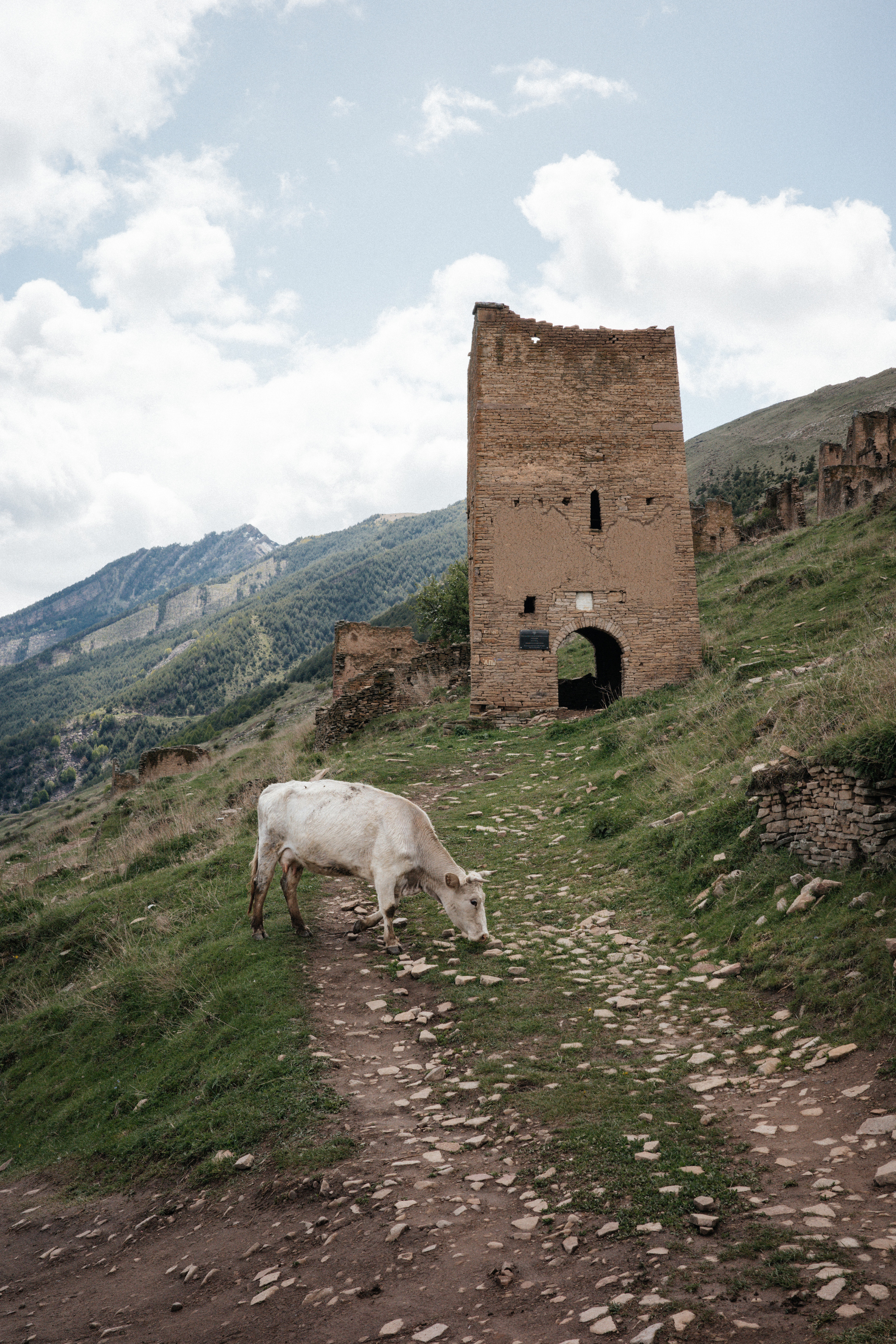Дагестан. Свадебный фотограф Москва Александра Аверкова