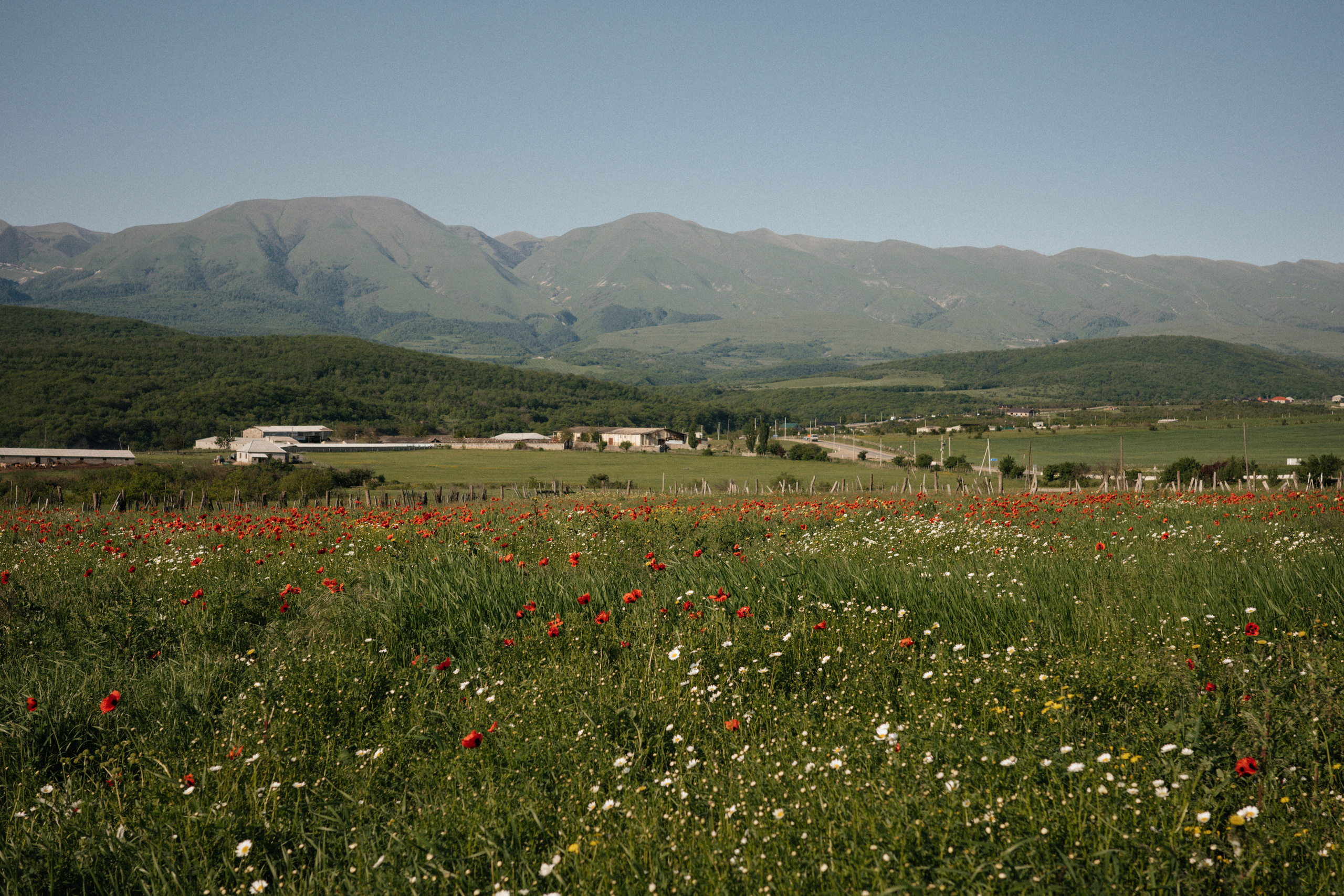 Дагестан. Свадебный фотограф Москва Александра Аверкова