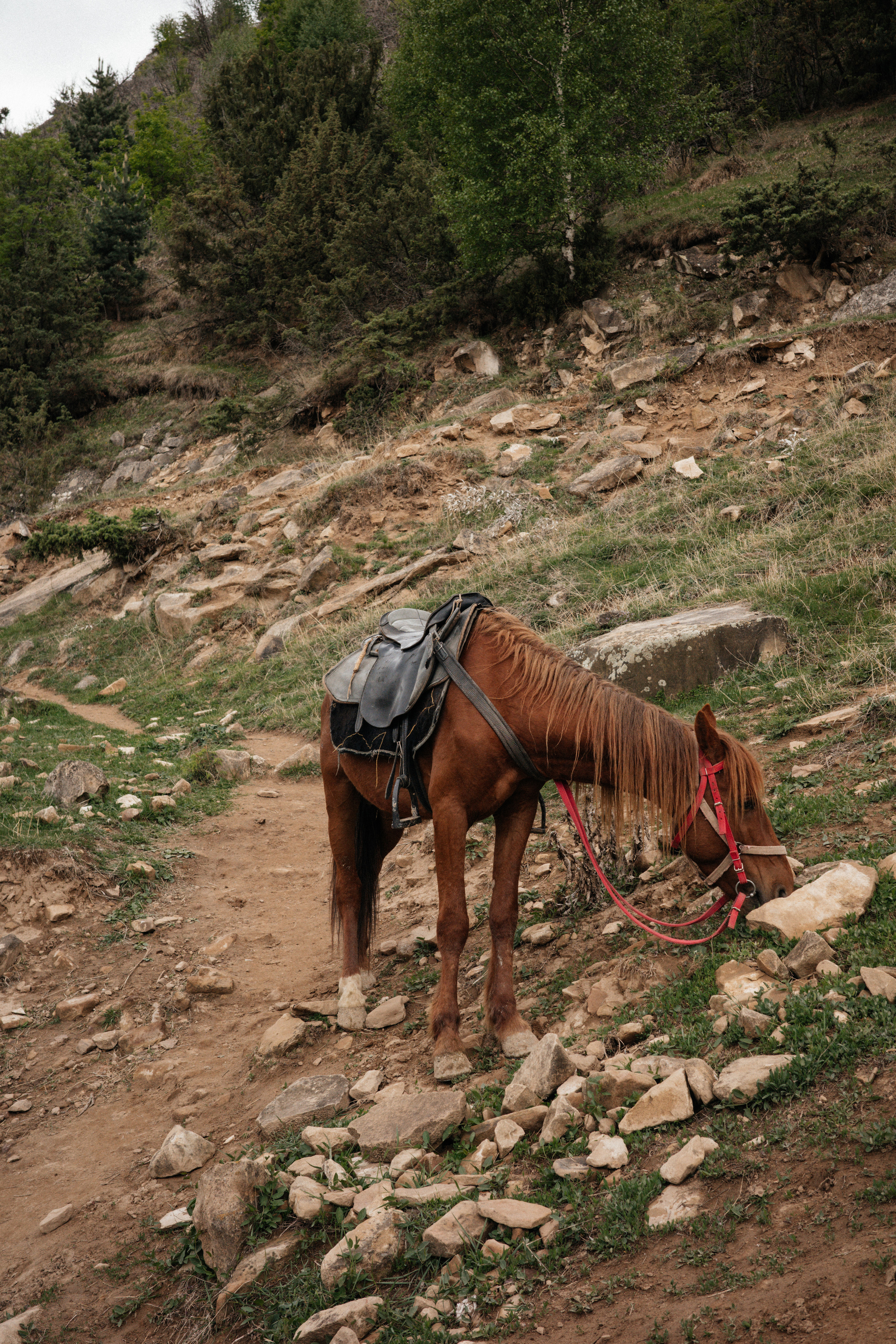 Дагестан. Свадебный фотограф Москва Александра Аверкова