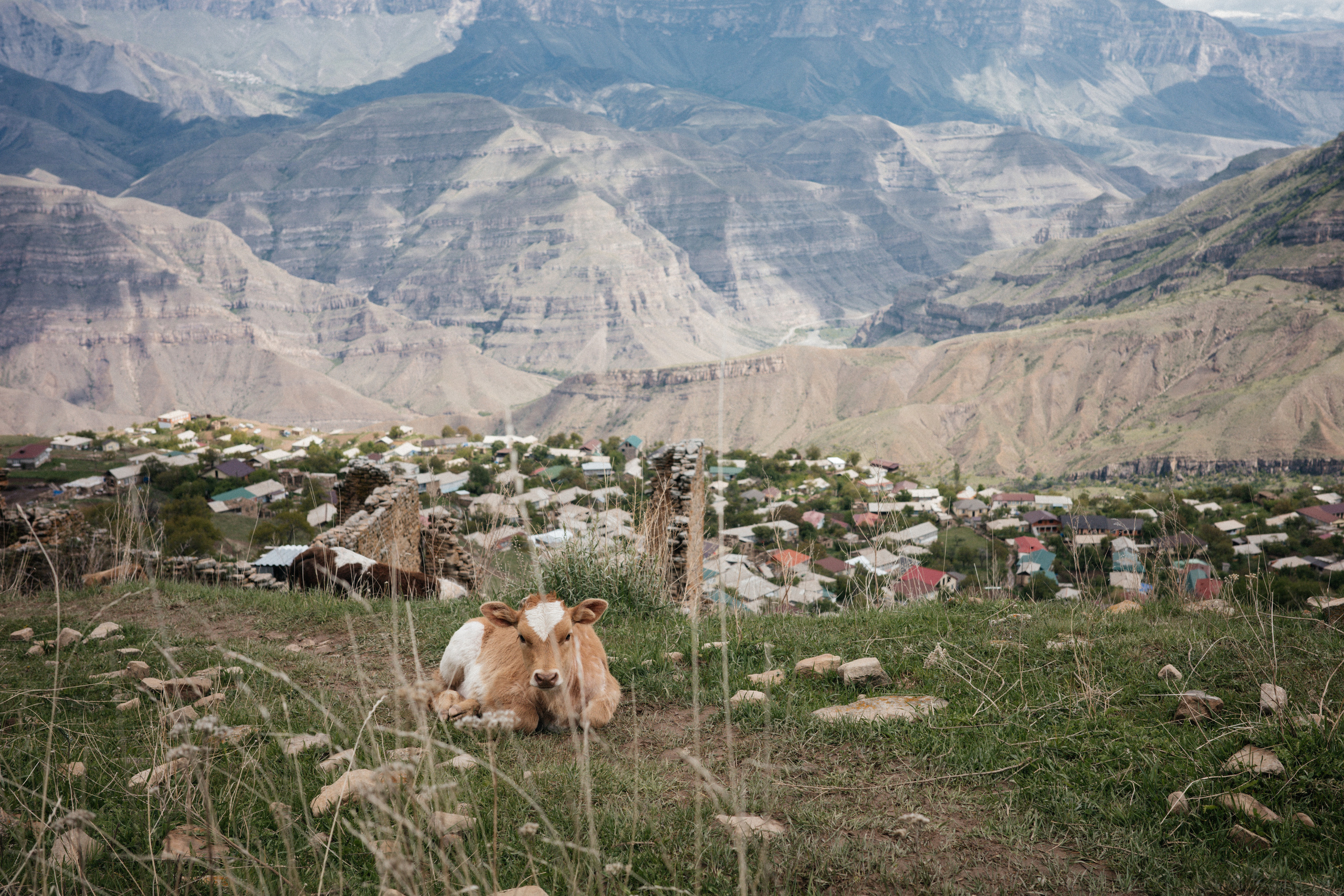 Дагестан. Свадебный фотограф Москва Александра Аверкова