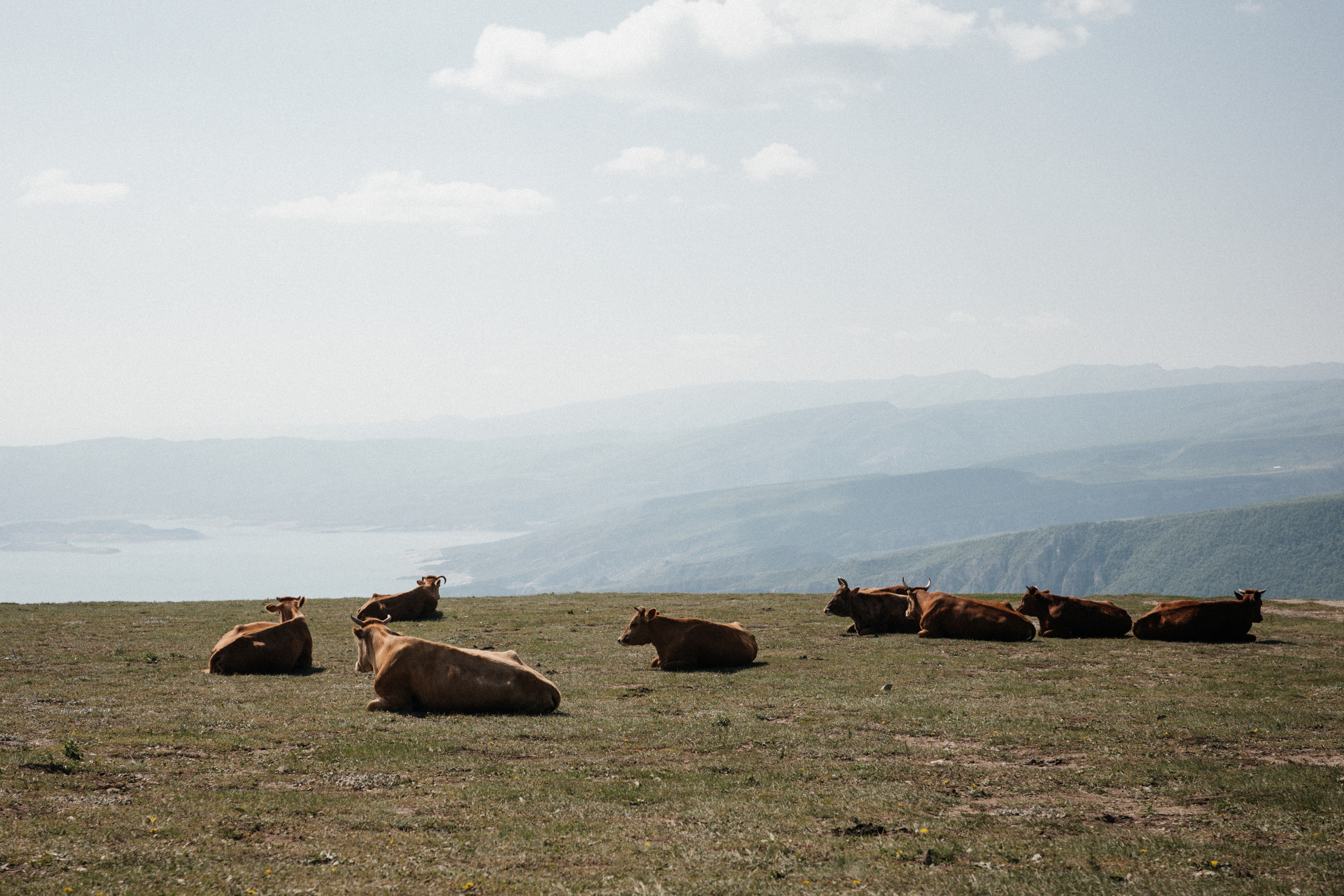 Дагестан. Свадебный фотограф Москва Александра Аверкова