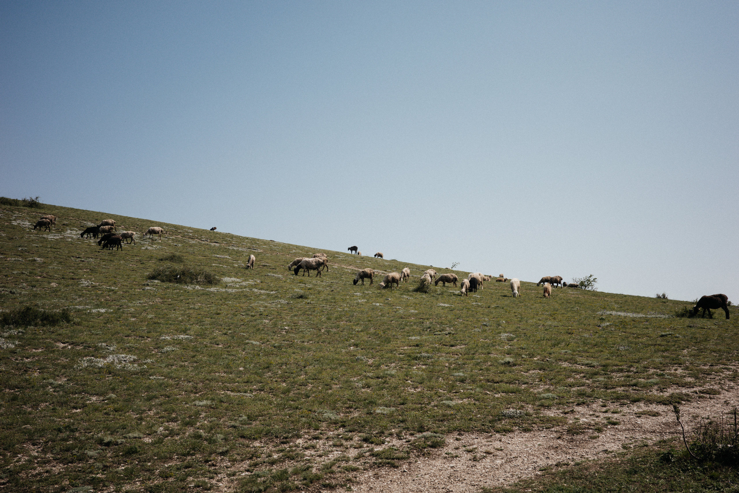 Дагестан. Свадебный фотограф Москва Александра Аверкова
