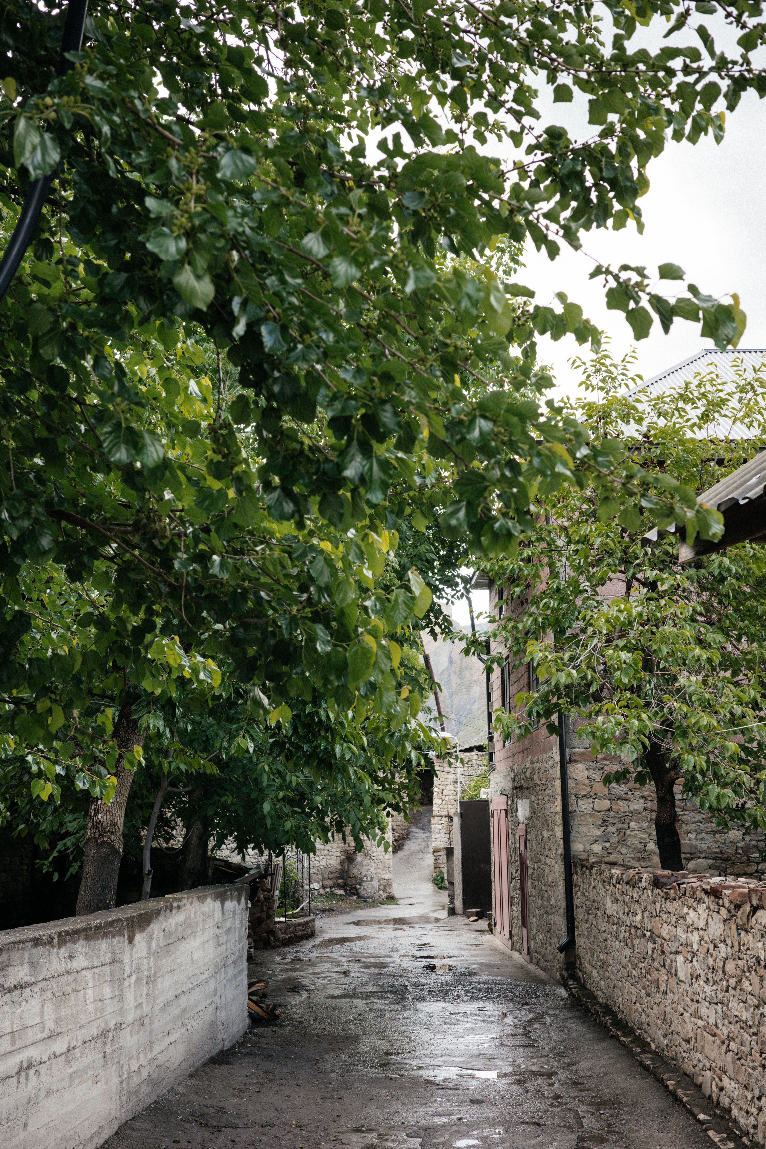 Дагестан. Свадебный фотограф Москва Александра Аверкова