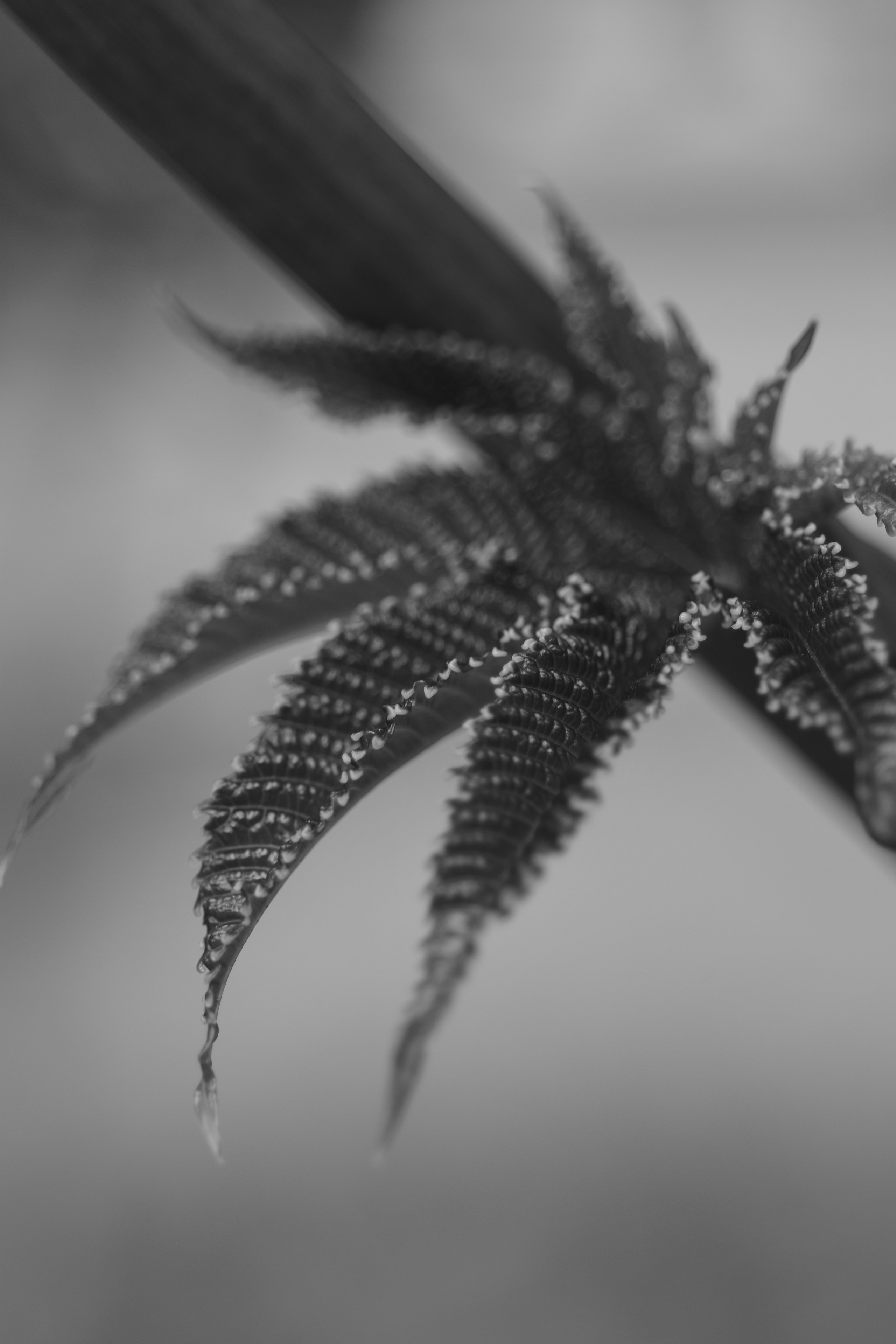 Art. Арт — фотограф Евгений Наймушин Новокузнецк