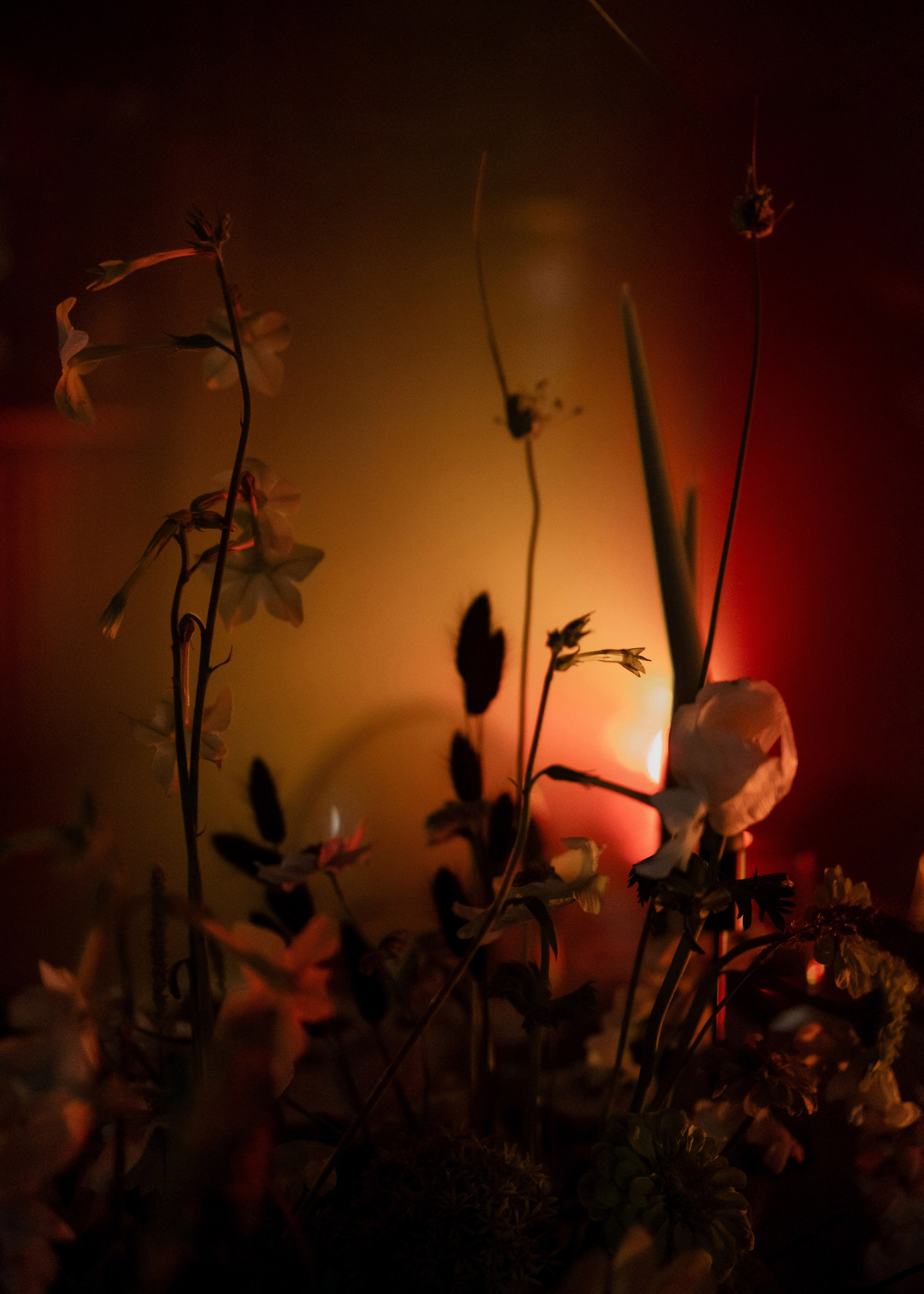 Гроза. Константин Суриков свадебный фотограф Санкт-Петербург