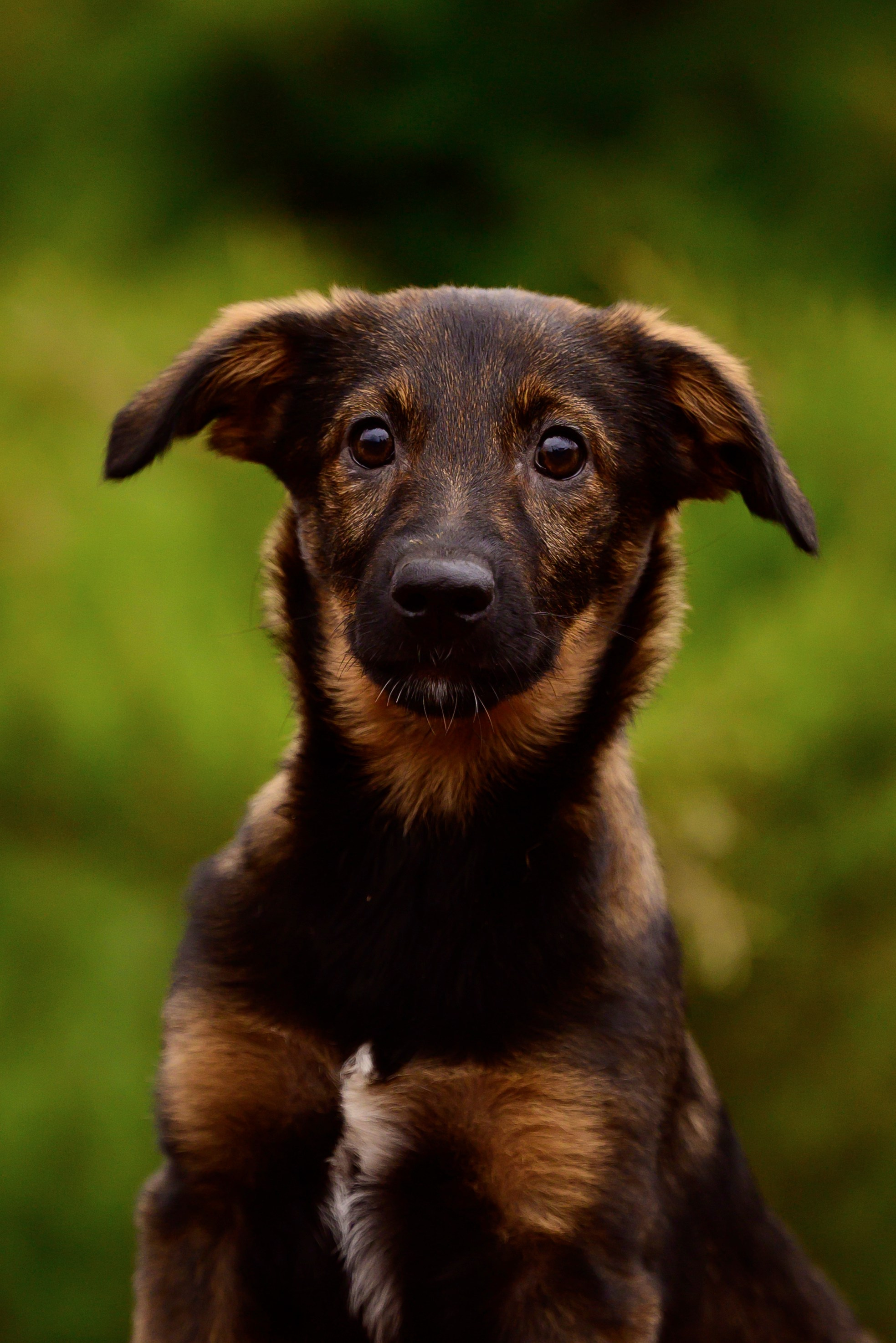 Круассанчики. Мила Астахова