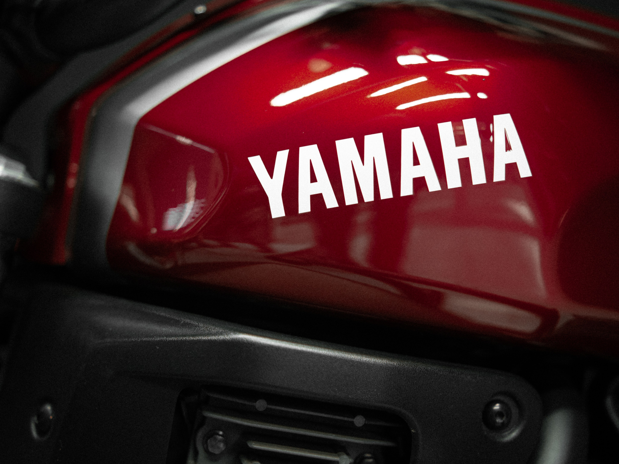 фотограф Аланья, фотосессия Аланья, свадебный фотограф Аланья, семейный фотограф Аланья, детский фотограф Аланья, пейзажный фотограф Аланья, архитектурный фотограф Аланья, коммерческий фотограф Аланья, фотостудия Аланья, ретушь фото Аланья, печать фото Аланья, фотокниги Аланья, фотоальбомы Аланья, фото на документы Аланья, фото на свадьбу Аланья, фото на крещение Аланья, фото на день рождения Аланья, фото на выпускной Аланья 