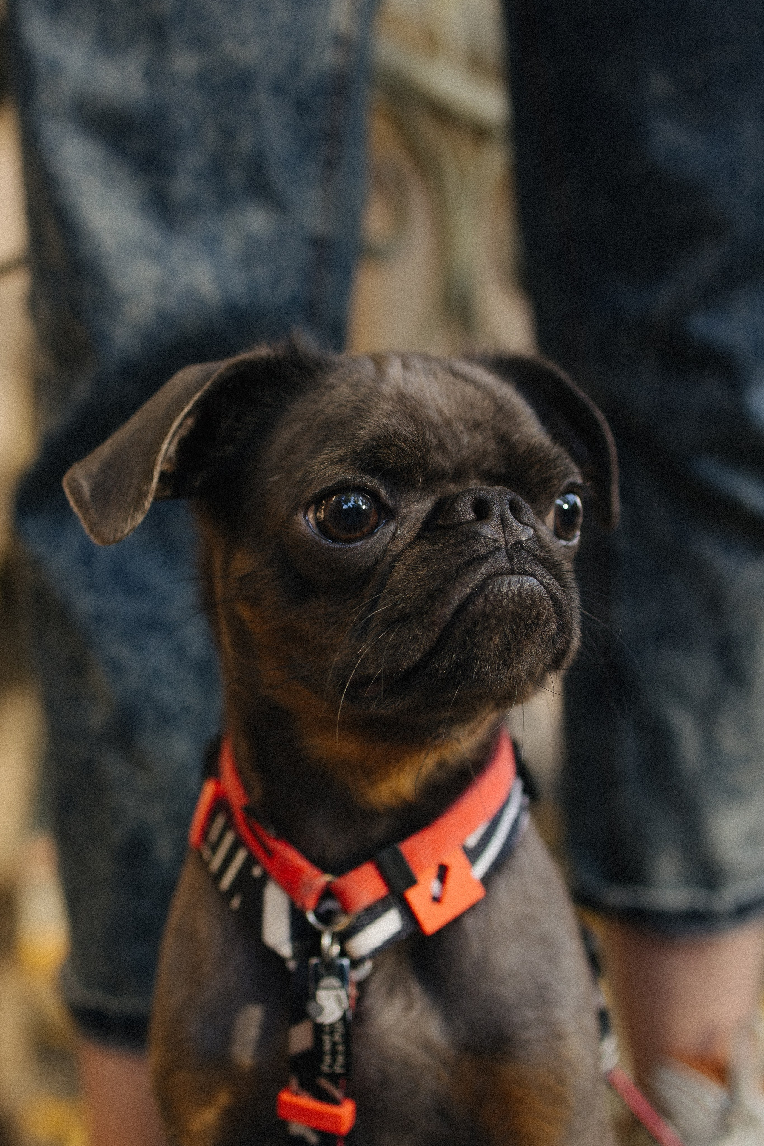 Грогу и его семья. Фотораф — анималист Мария Шистка