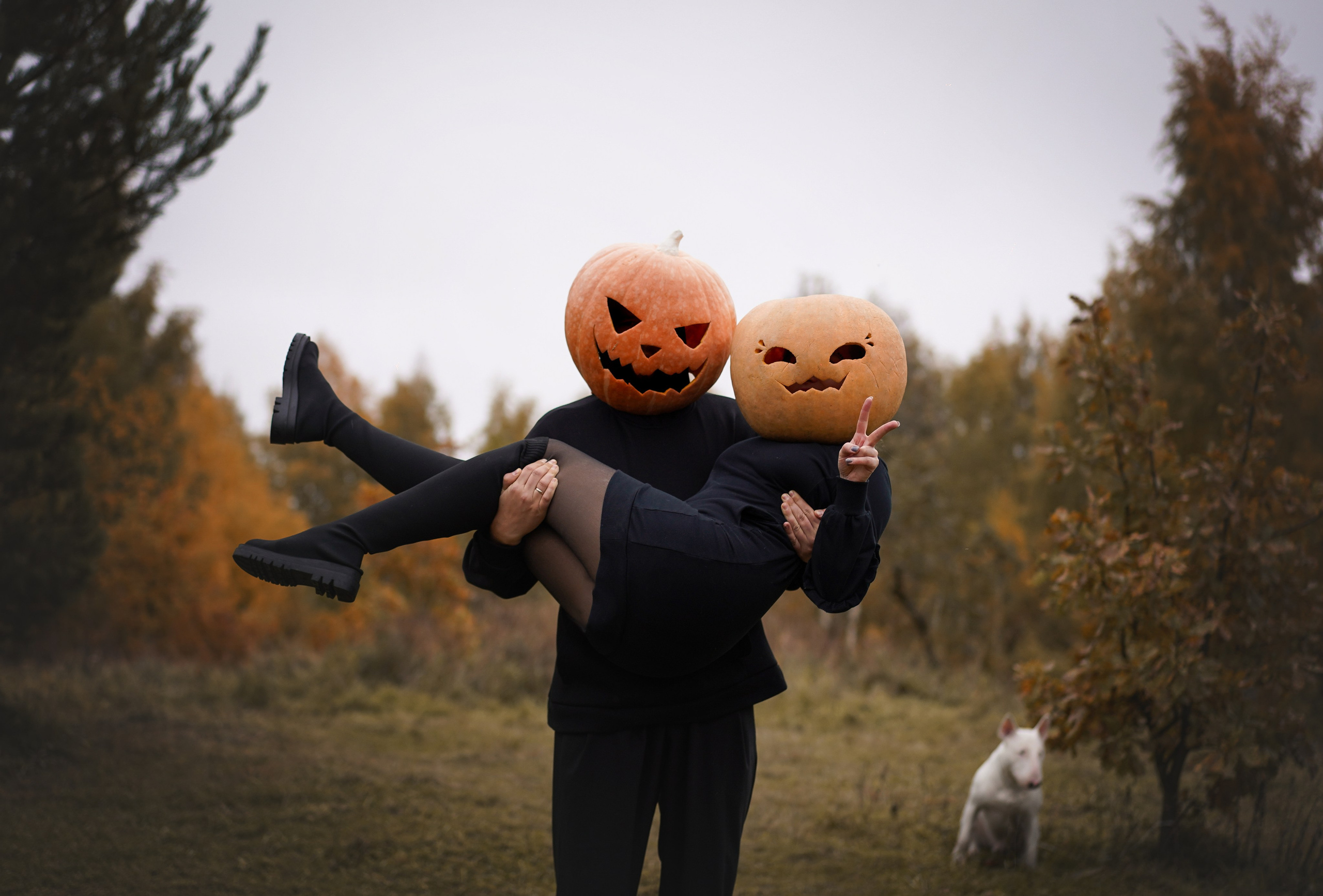 Настя Рома и Сахар Хелоуин. Фотограф-анималист в Санкт-Петербурге Яна Мартынова