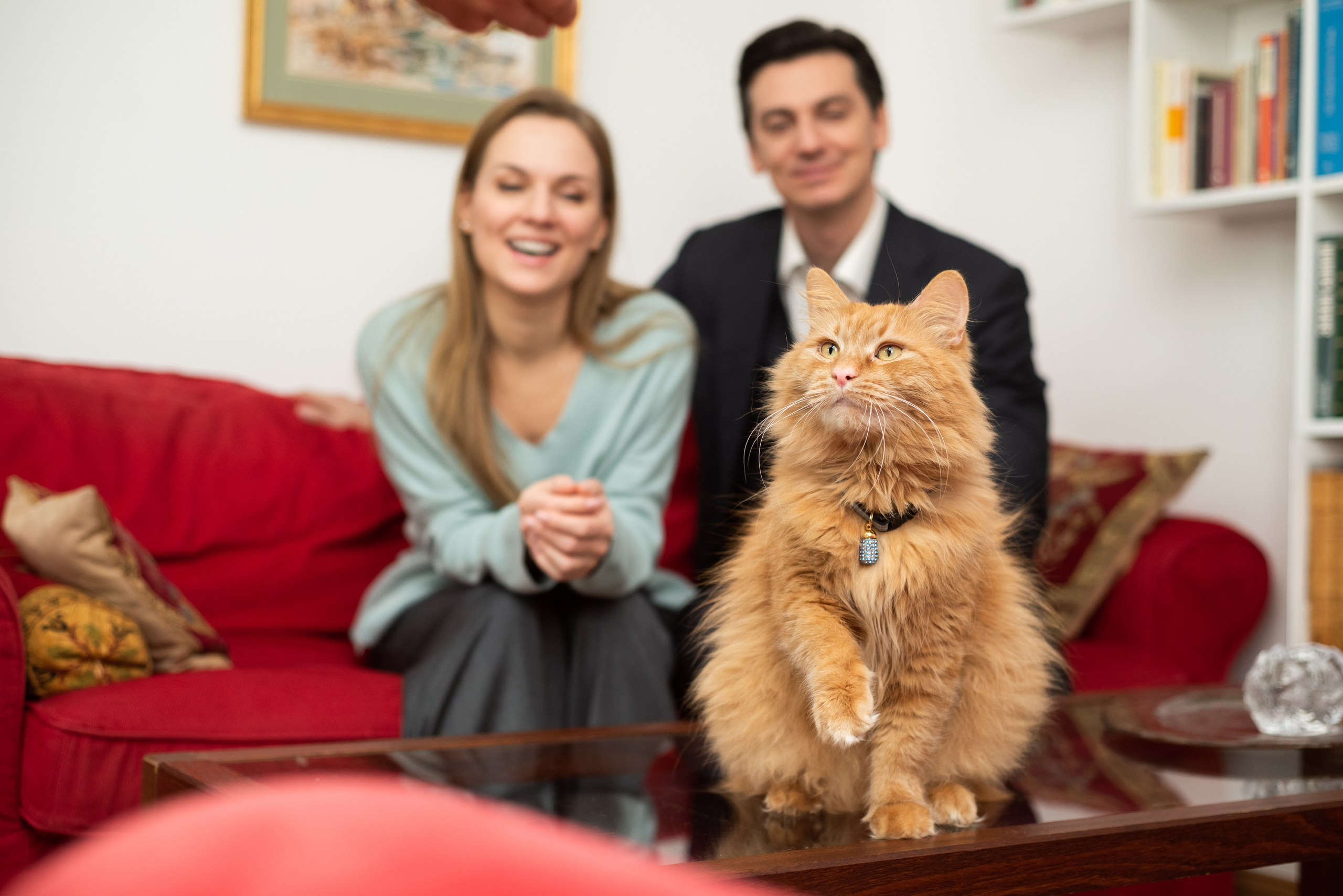 К/с «Кабинет Путешественника». Фотограф Диана Вальтер