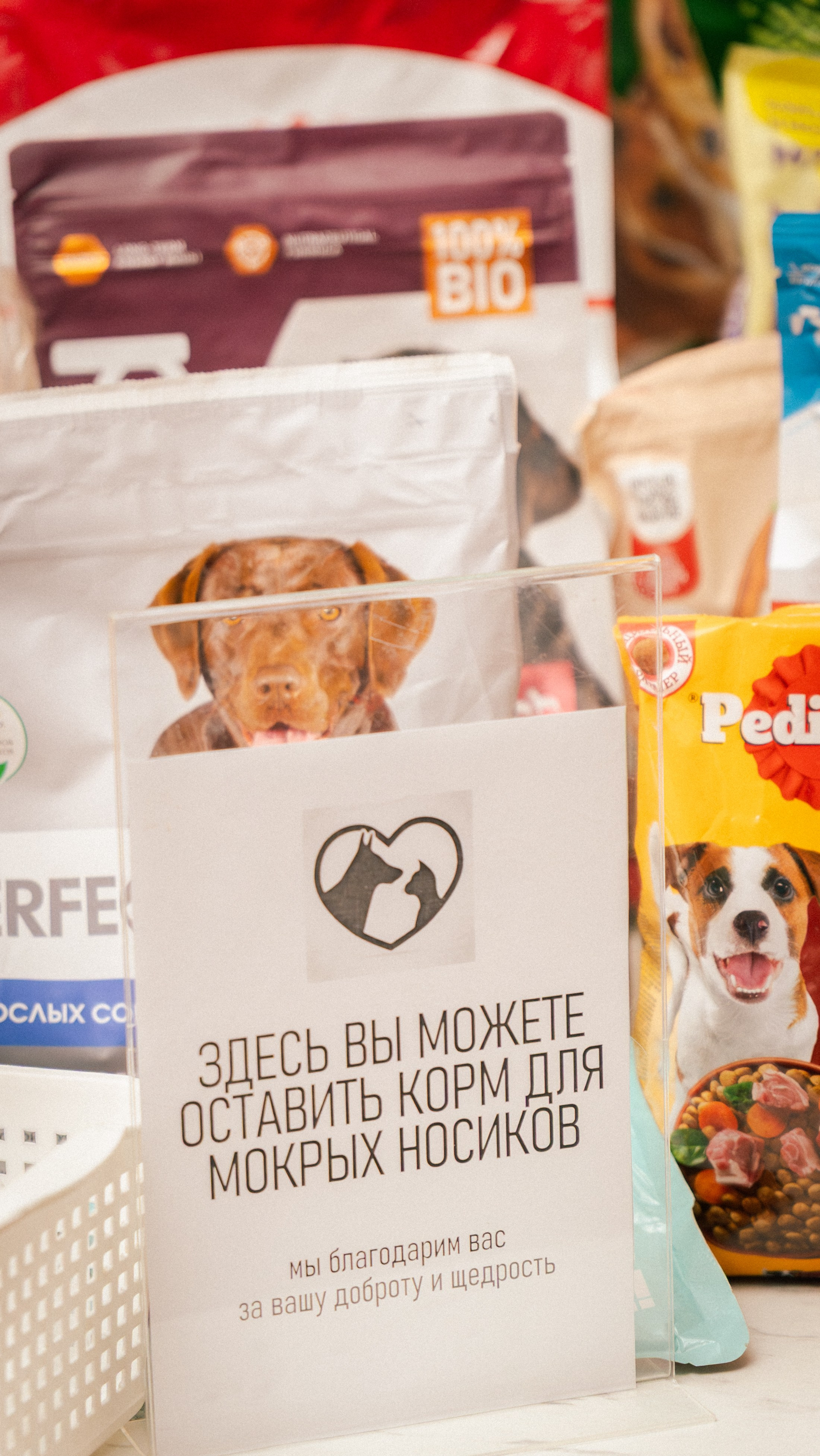 Денис и Галина. Фотограф и видеограф Андрей Кукишев