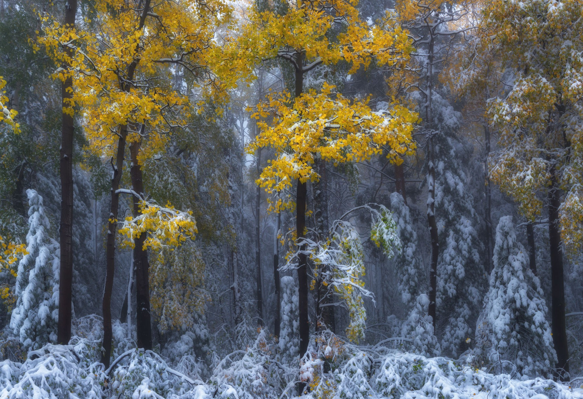 Фотографии Восточный Саян