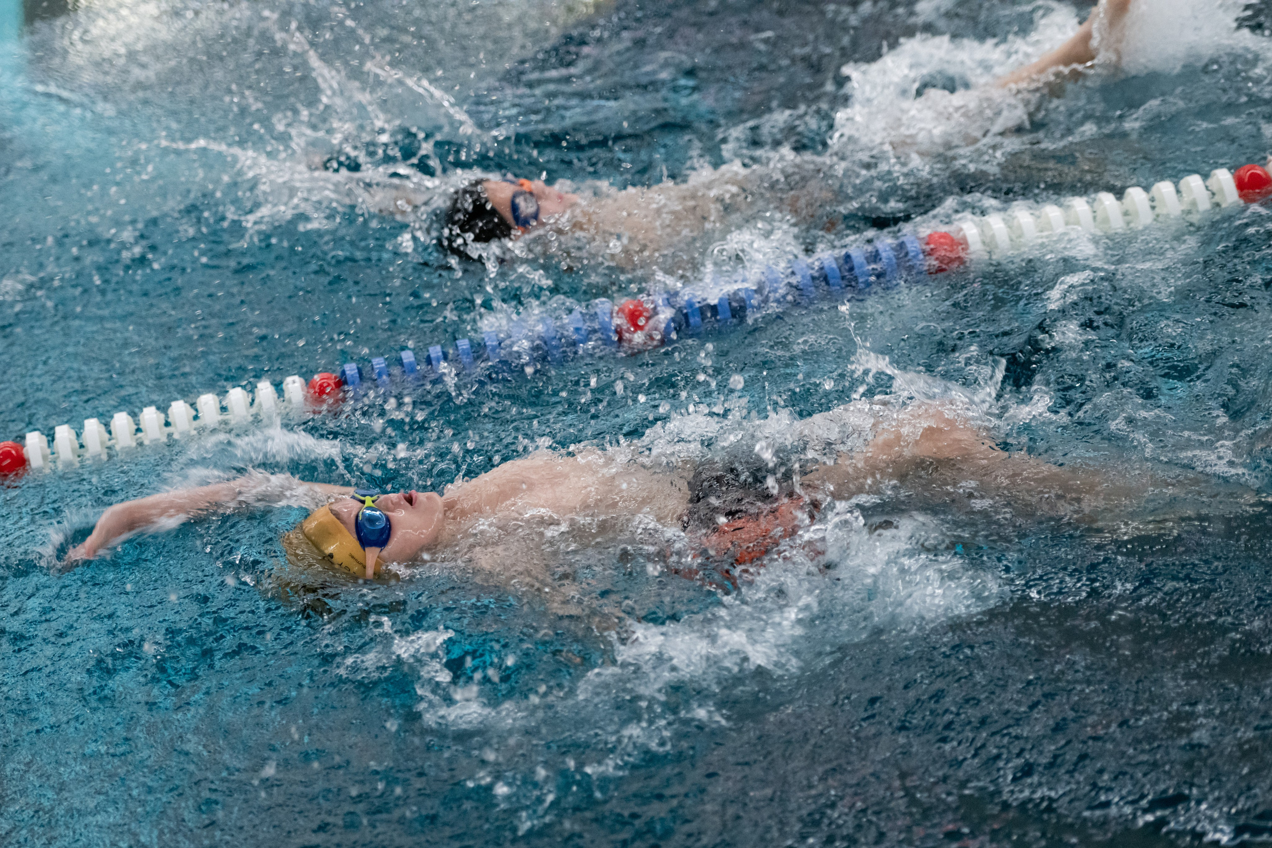 ЧЕМПИОНАТ ПО ПЛАВАНИЮ. ДИНА МИХНЕВА спортивный фотограф Москва