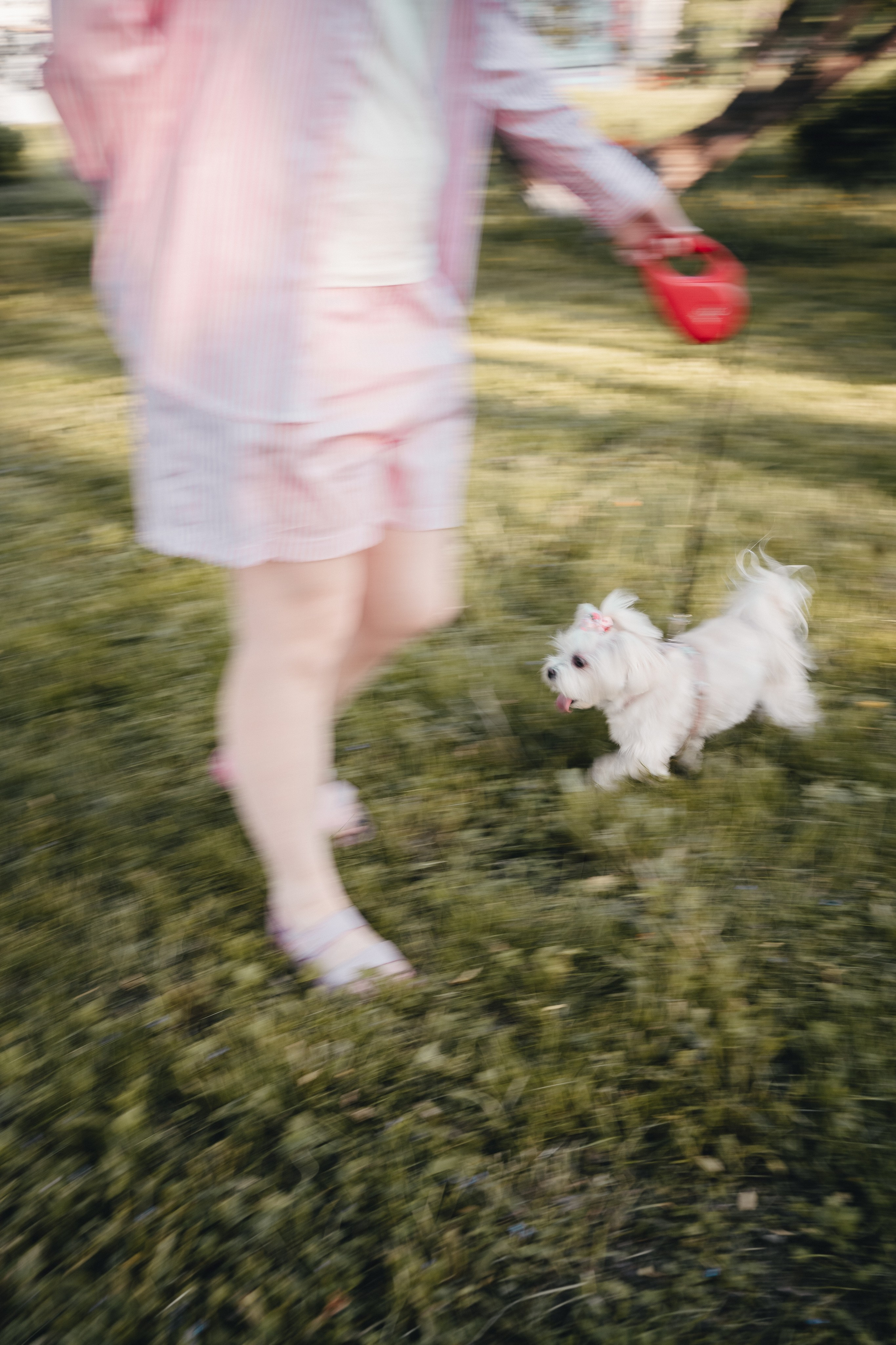 Лиза. Фотограф-анималист Анастасия Большакова