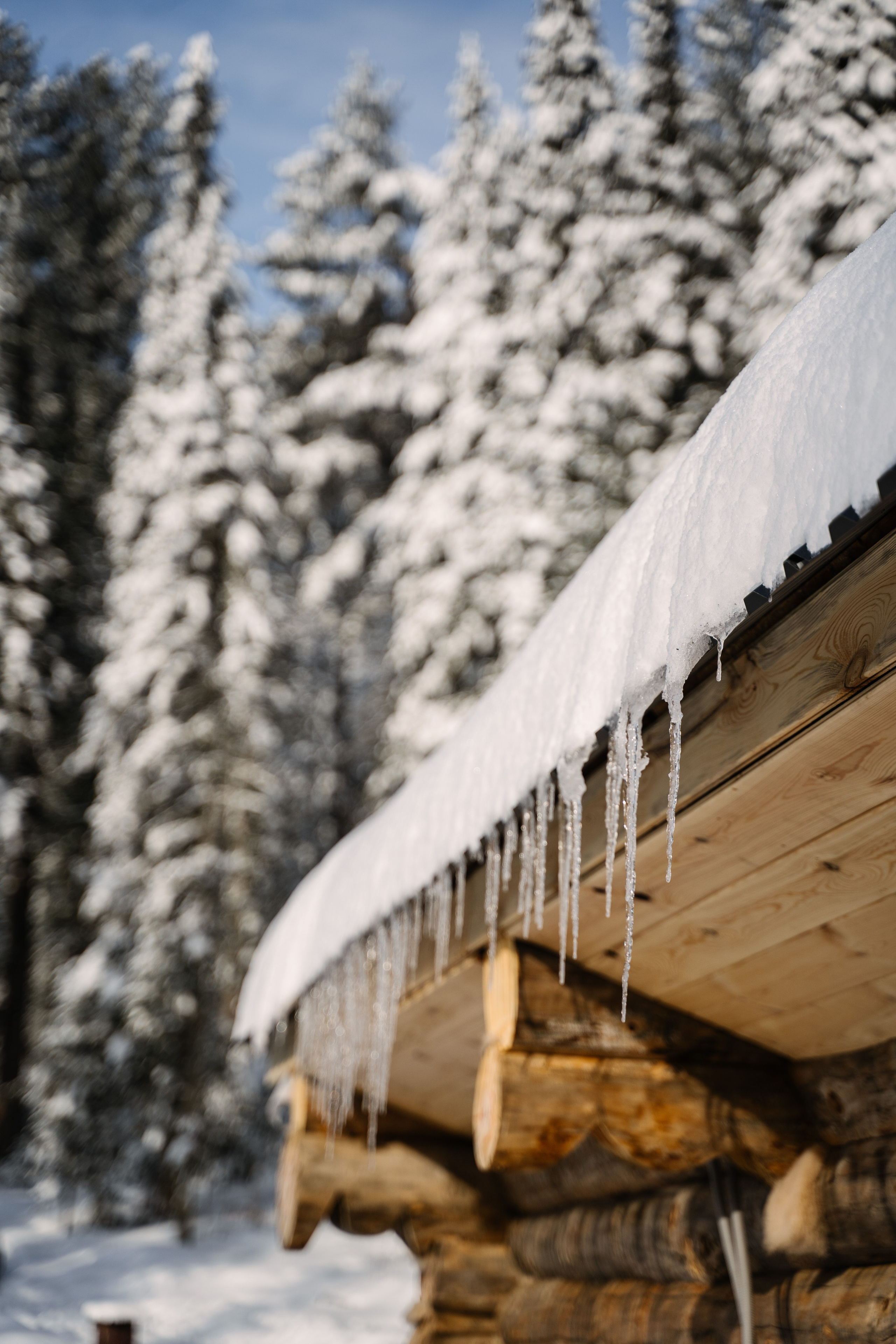Гостевой дом София. Фотограф Ольга Пучкова