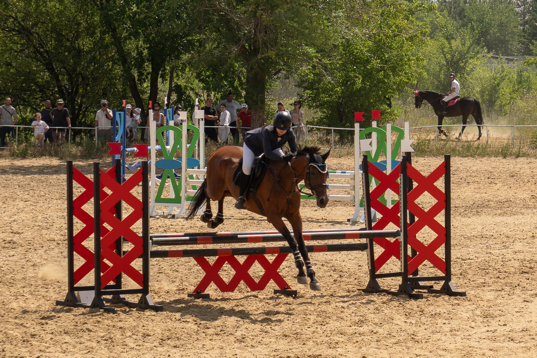 Соревнования по конкуру, Луганск. Фотограф в РФ и ЛНР Юлия Федосеева