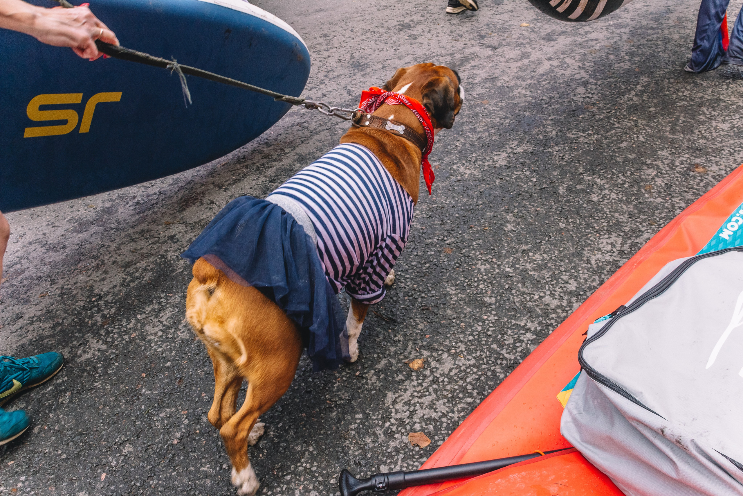 Фонтанка SUP 2 августа 2025 года. Семейный, Детский, Репортажный фотограф в Санкт-Петербурге Погодина Лю