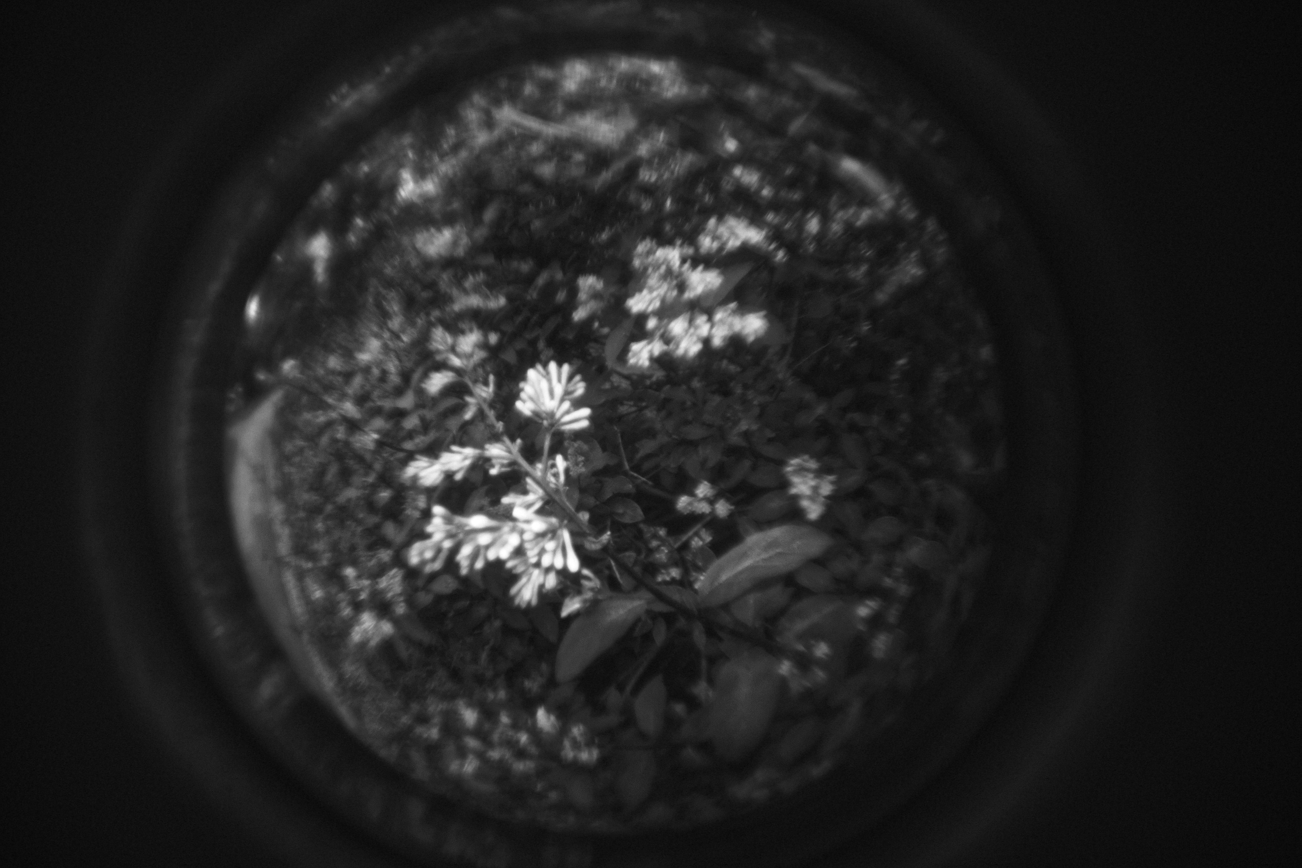 Bardo / Астигматическая ловушка для снов. Роман Ходырев — художник, фотограф, музыкант, эзотериолог. Санкт-Петербург, Рига