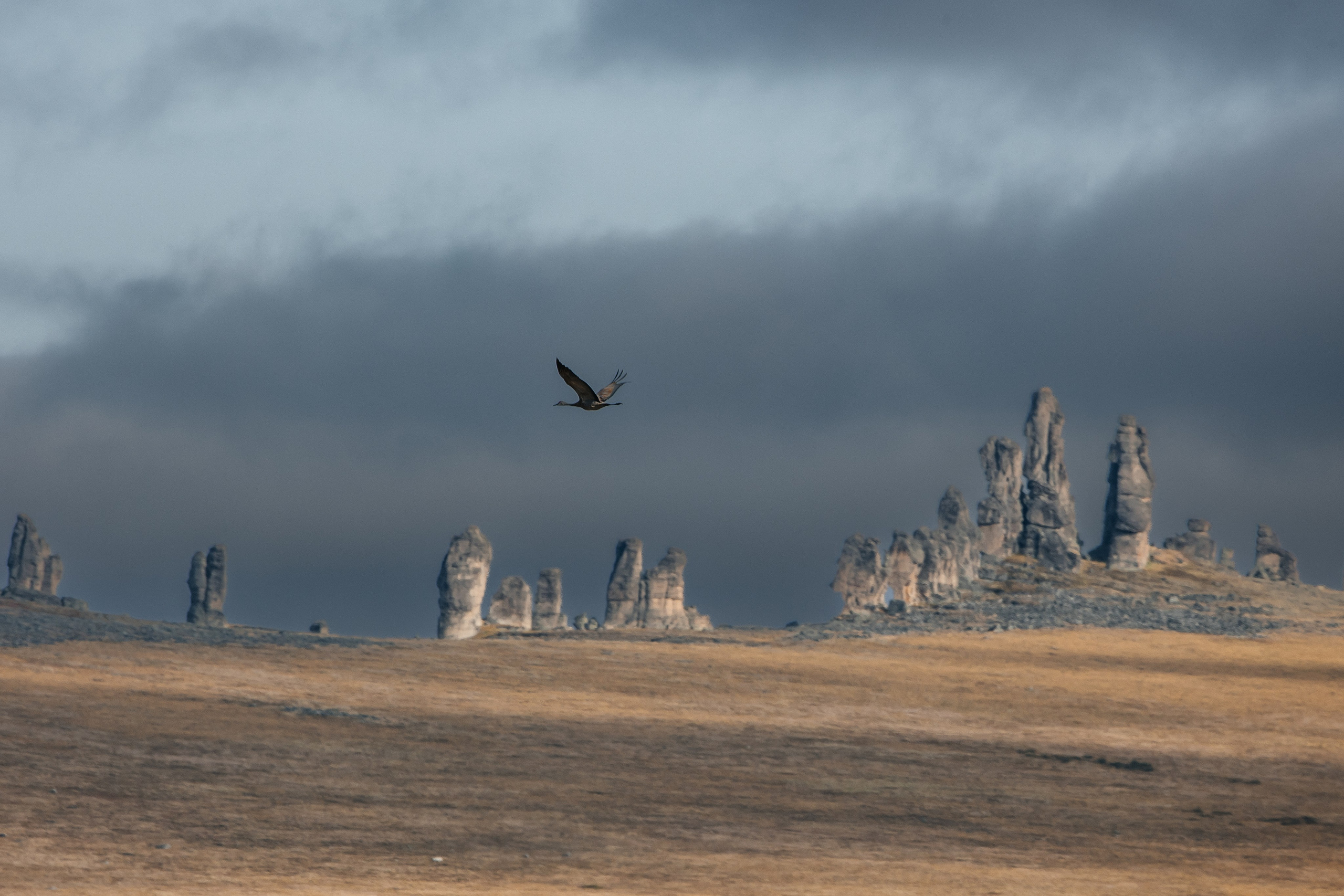 ПЕЙЗАЖ И ЛЮДИ. Саргылана Афанасьева