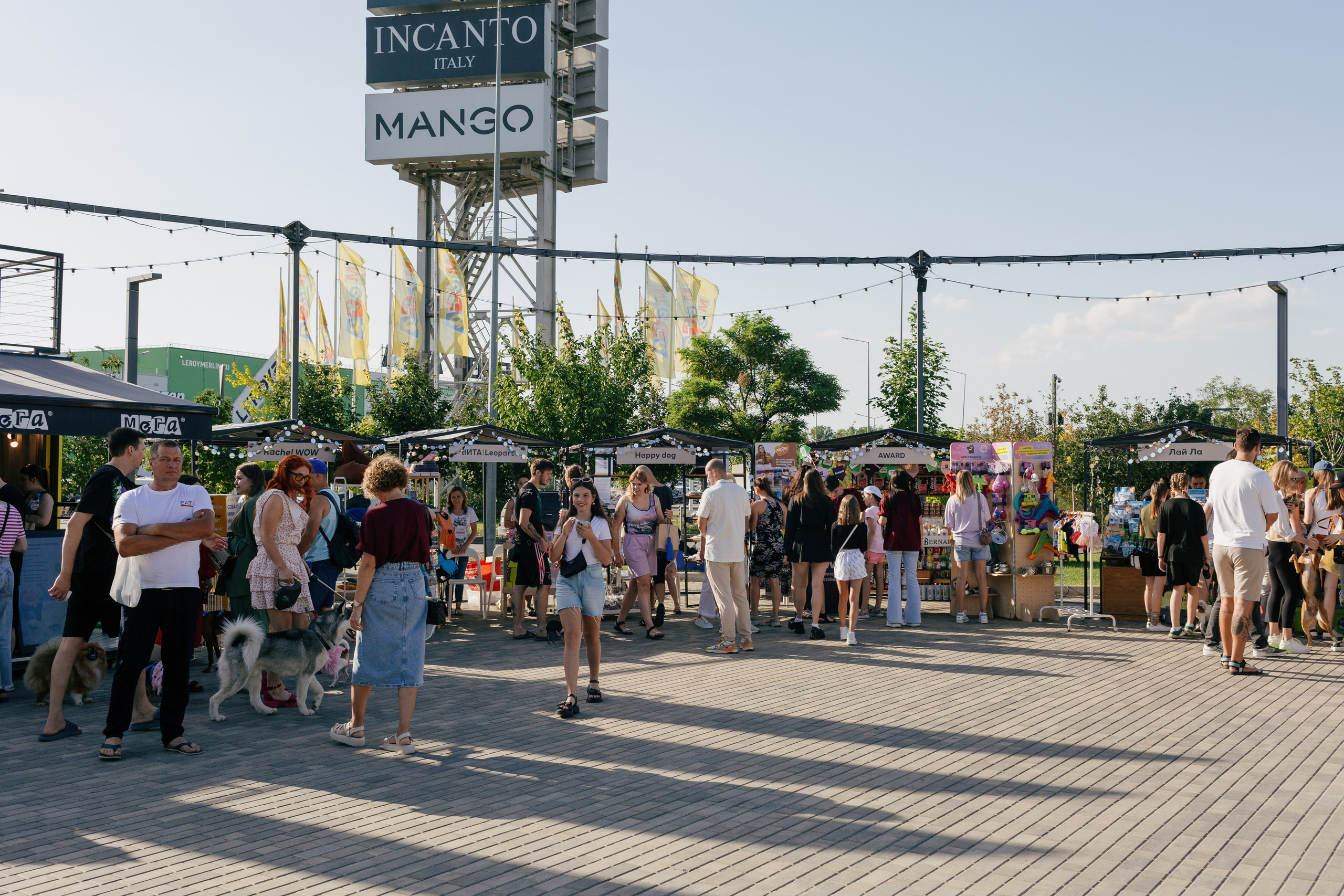 Dog Fest 2024. Главная