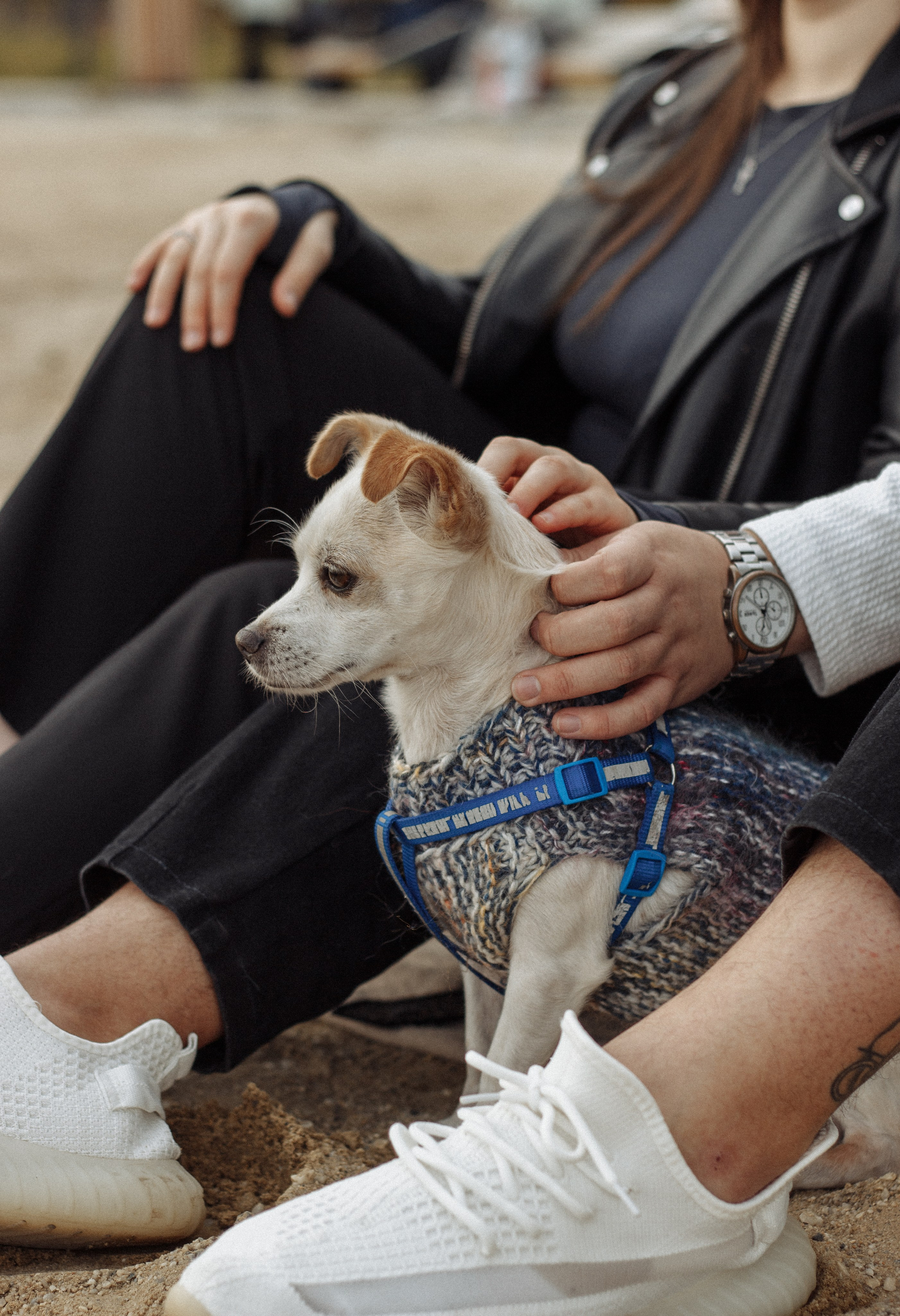 Дарья и Константин. Фотограф в Челябинске Березина Екатерина