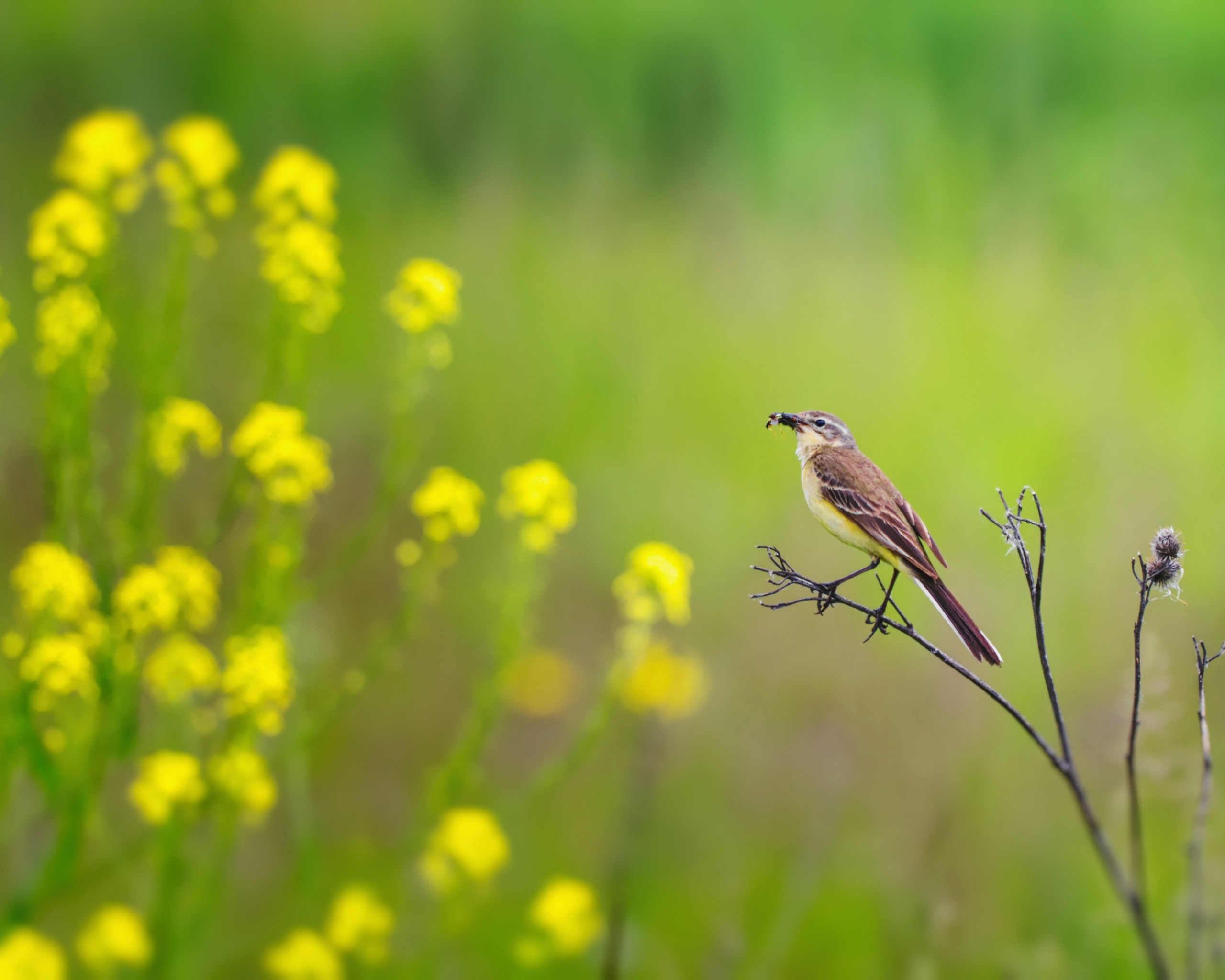 ПРИРОДА. Слепки времени. Фотографии природы и событий. Москва. Сергей Аллагулов