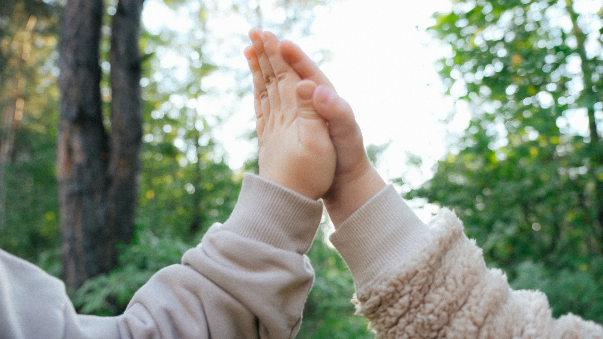 Осень. Свадебный Видеограф Фотограф в Сочи