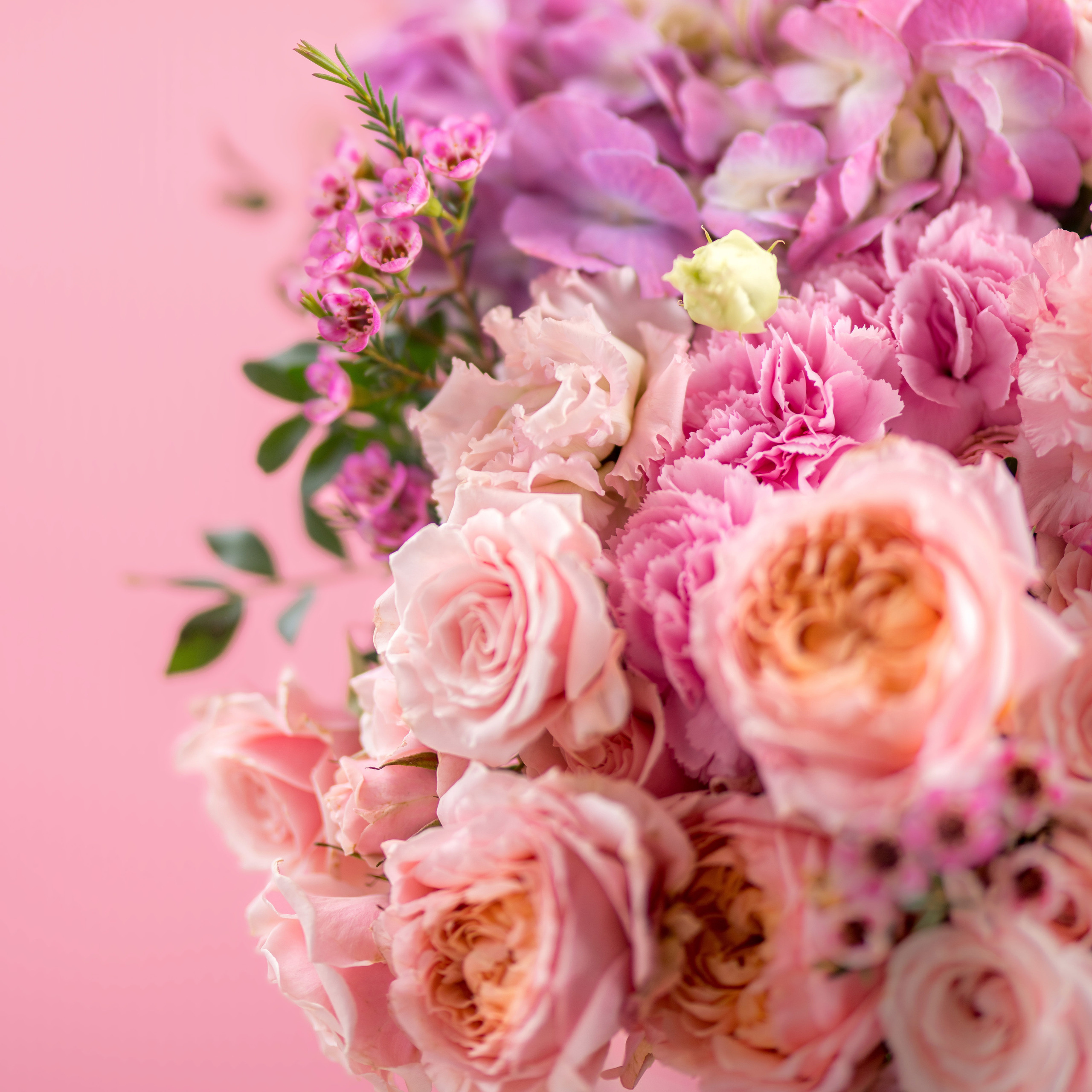 Fleur De Cafe. Advertising photographer in Dubai — Maxim Mitrofanov