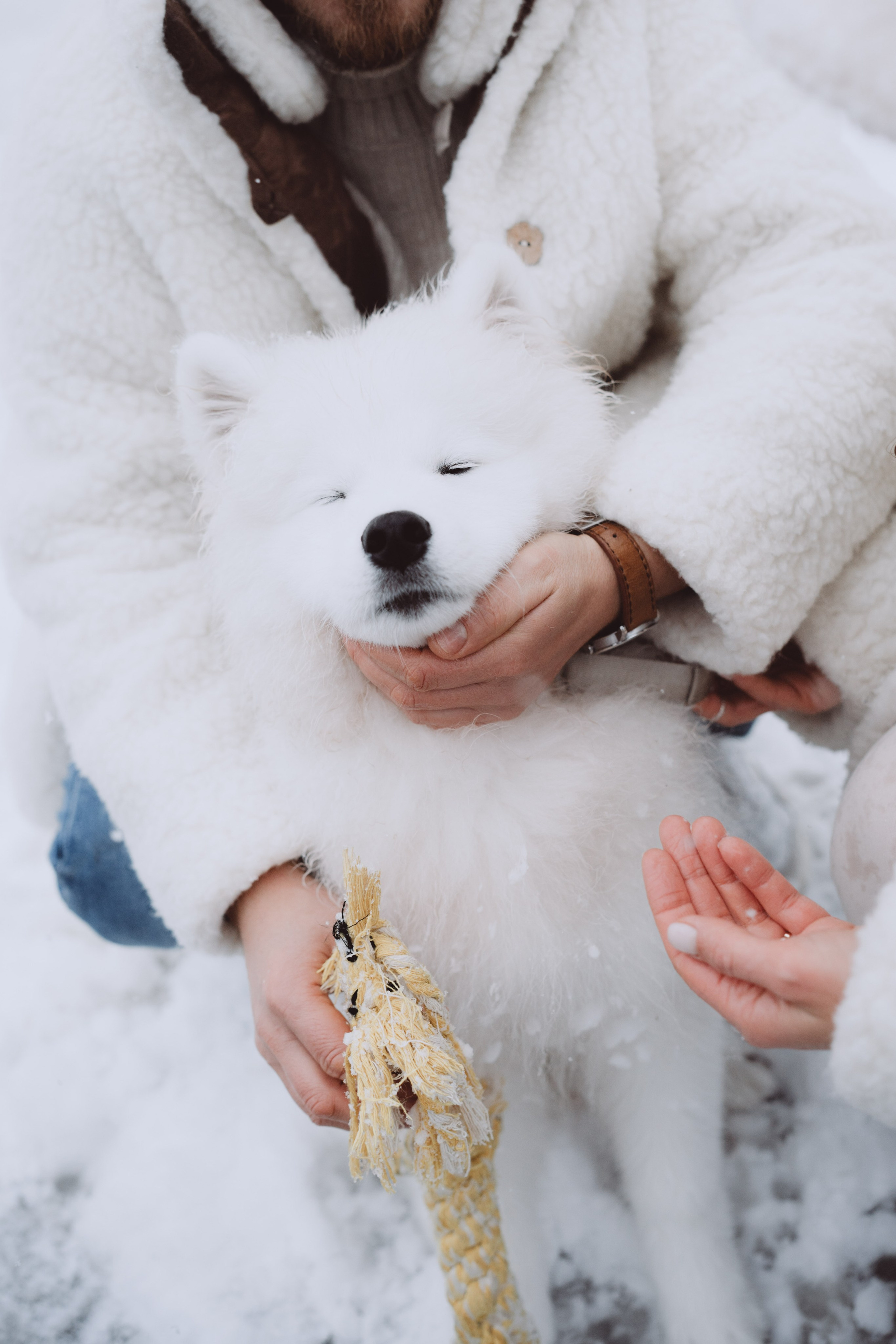Антон, Дарья и Шани. Фотограф в Сочи Щетинина Анастасия