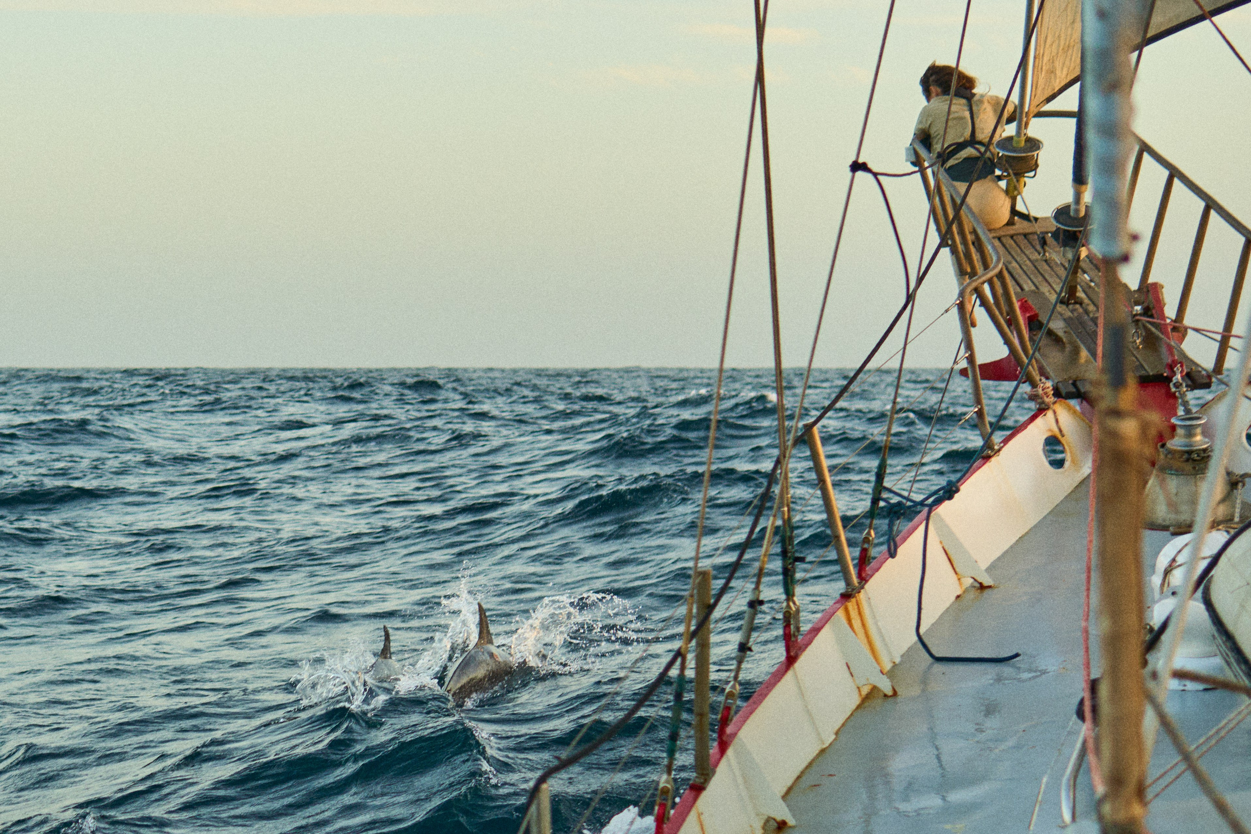 Morocco-Gambia. See the moment and catche. commercial and reportage