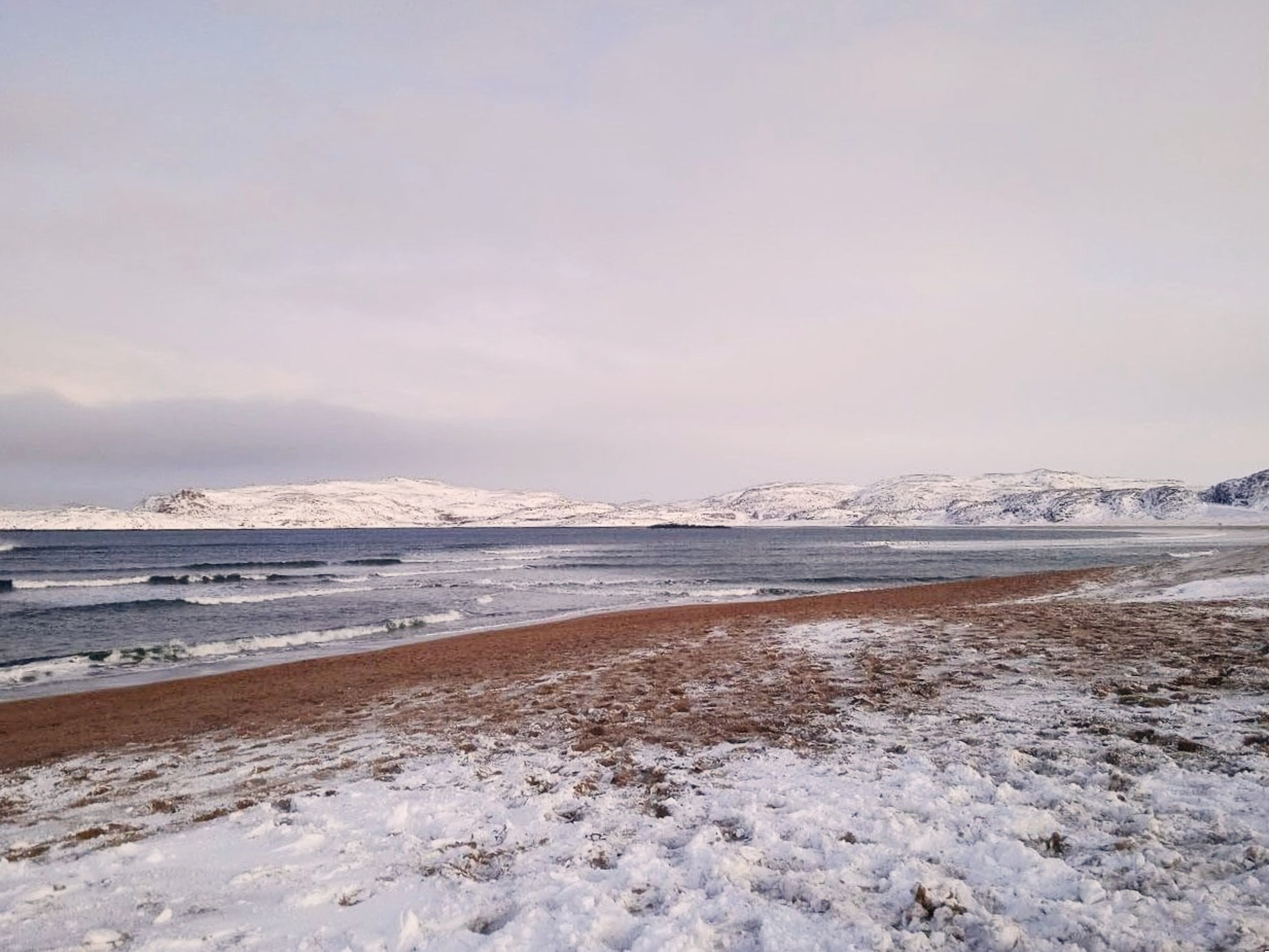 Nature. Надежда Козлова, фотограф, Санкт — Петербург