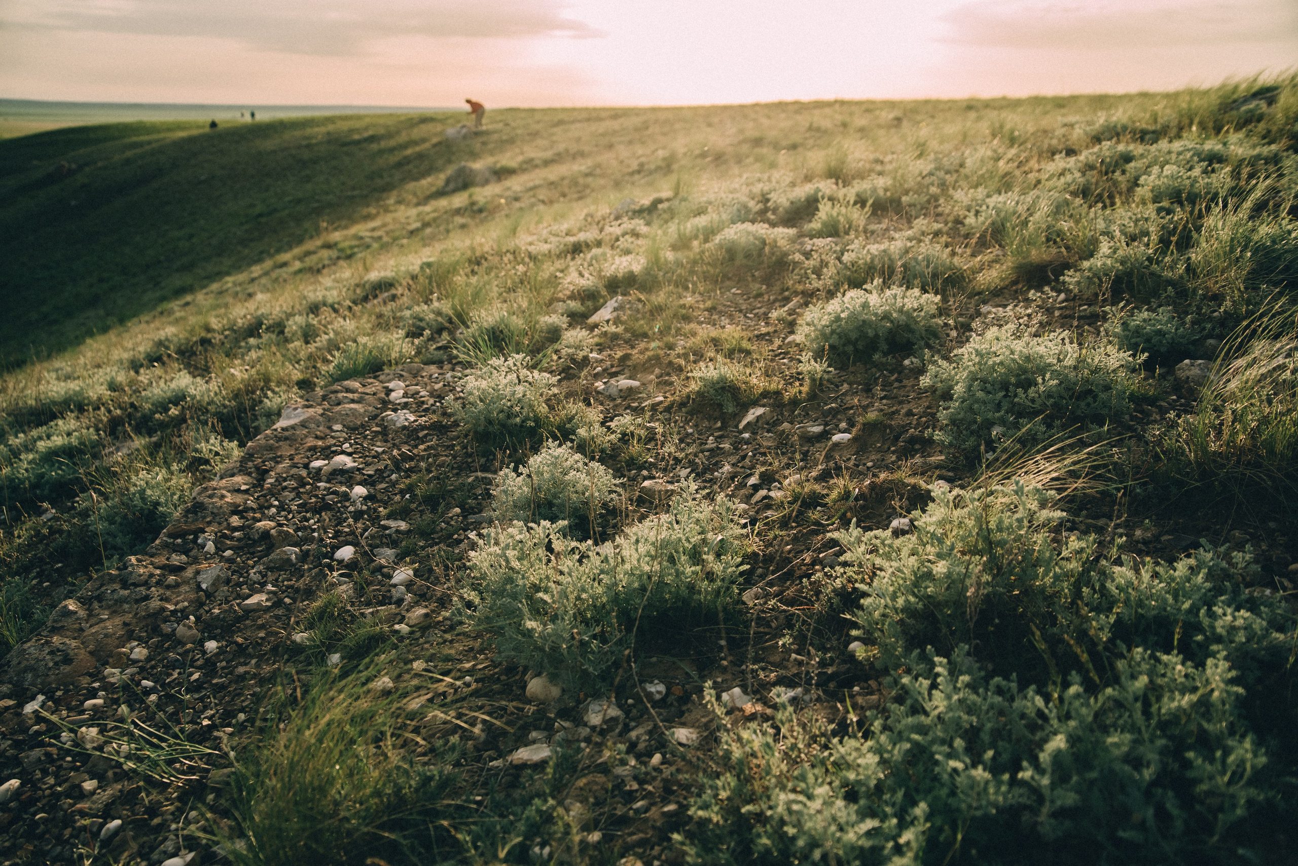 Заповедник «Оренбургский», предуральская степь. Фотообъединение Самарского областного отделения Союза журналистов России