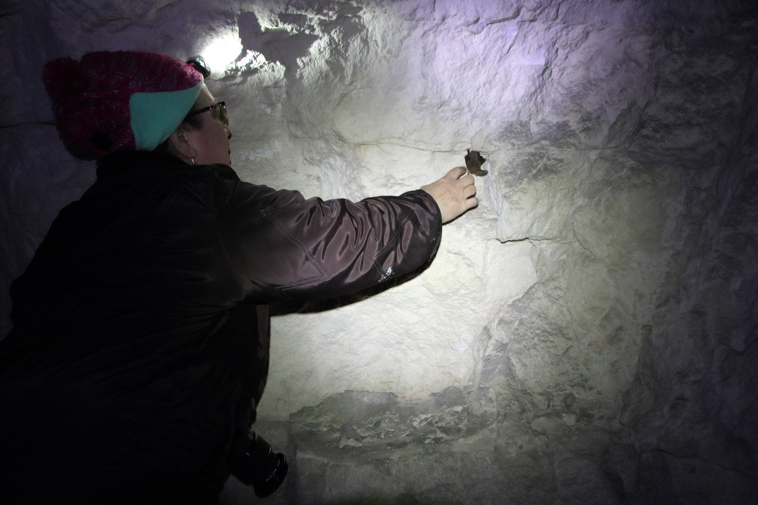 06.04.2019 пос. Ширяево. Штольни. Фотообъединение Самарского областного отделения Союза журналистов России